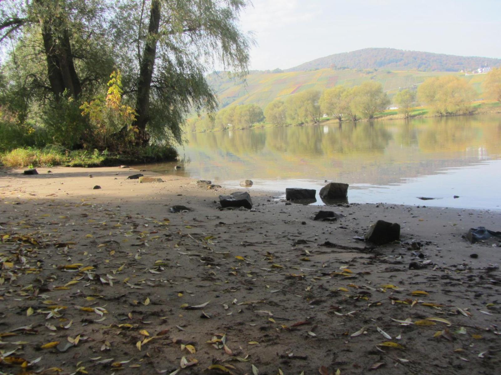 Mosel-Auszeit