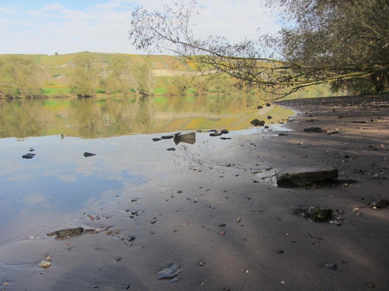 Mosel-Auszeit