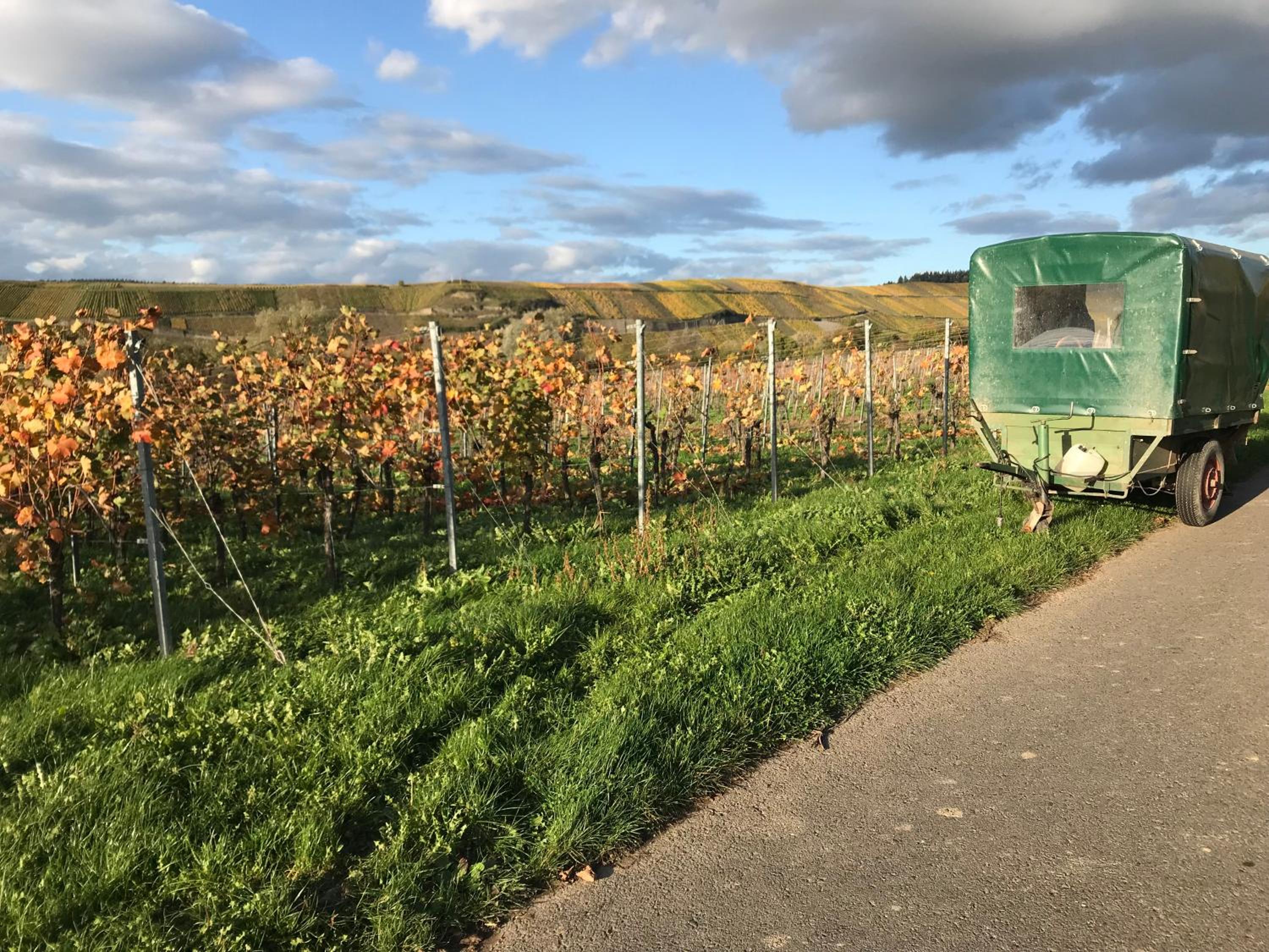 Mosel-Auszeit