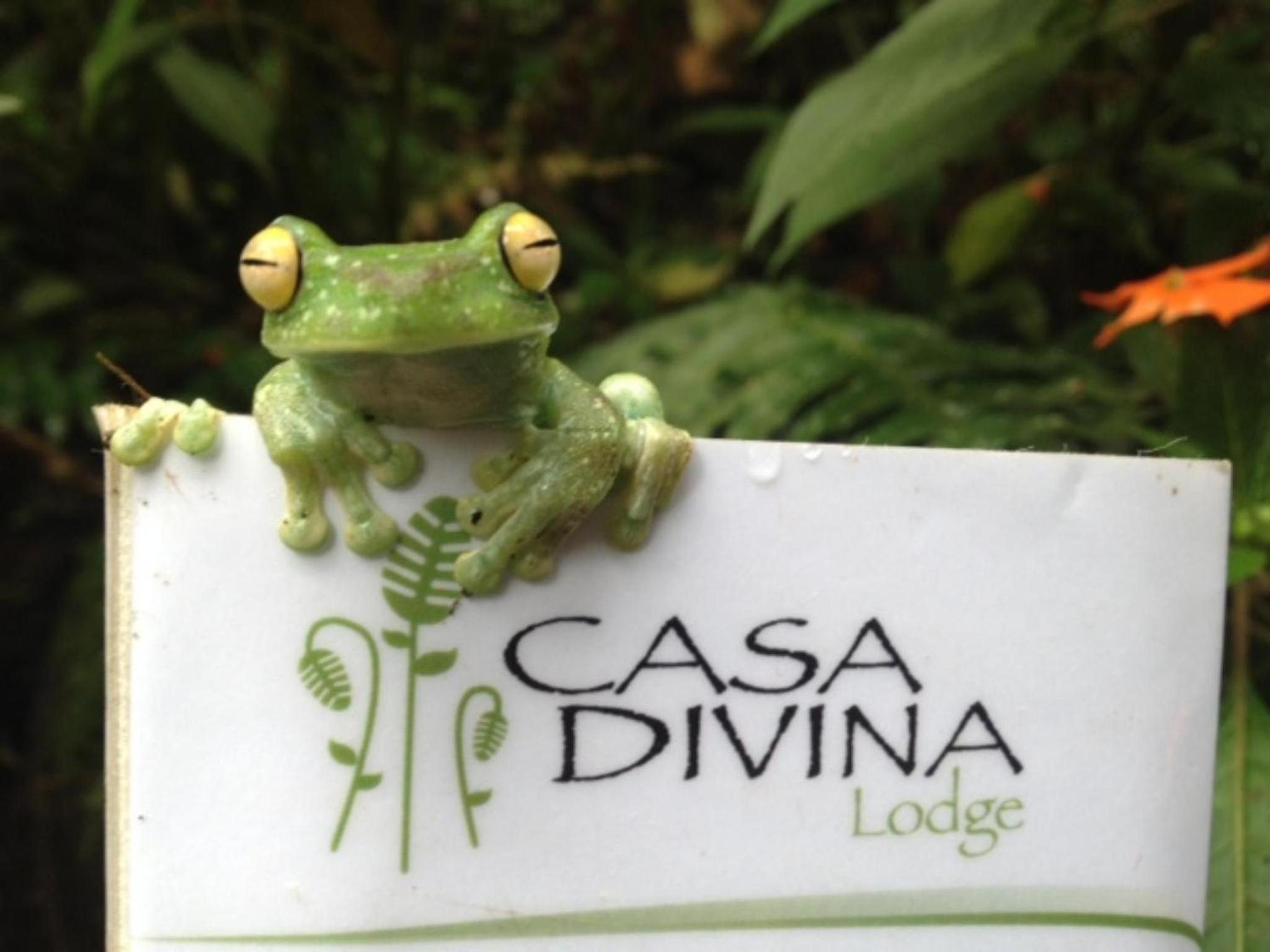 Casa Divina Eco Lodge