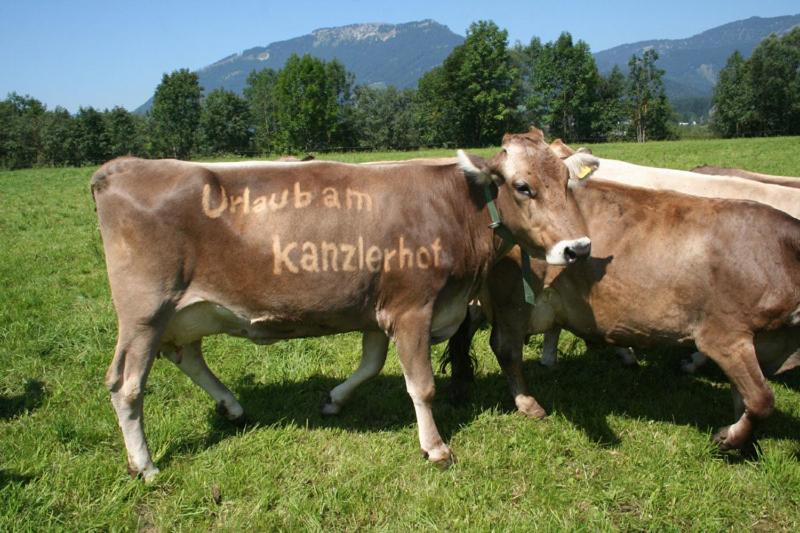 Kanzlerhof