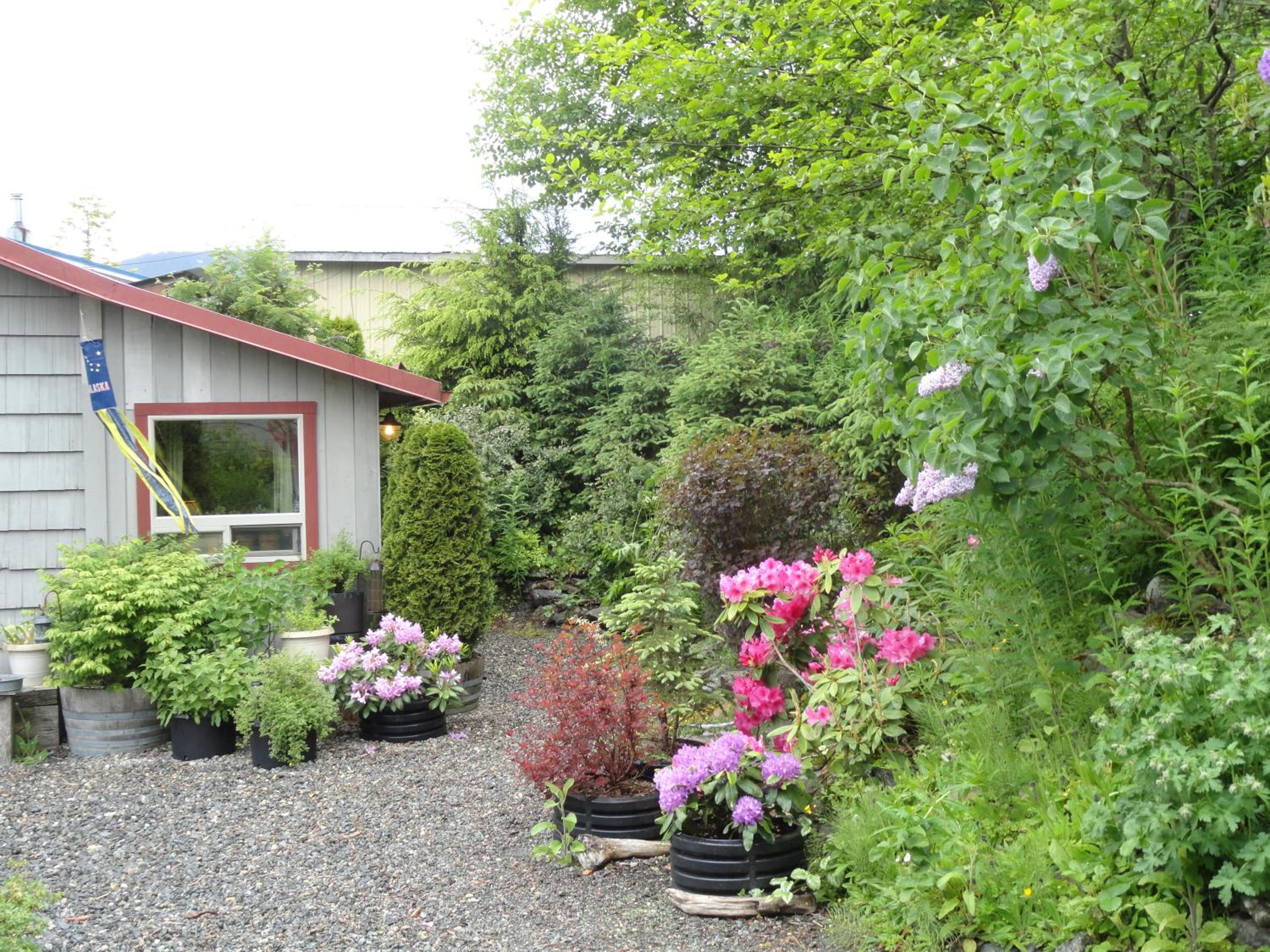 Photo 9
