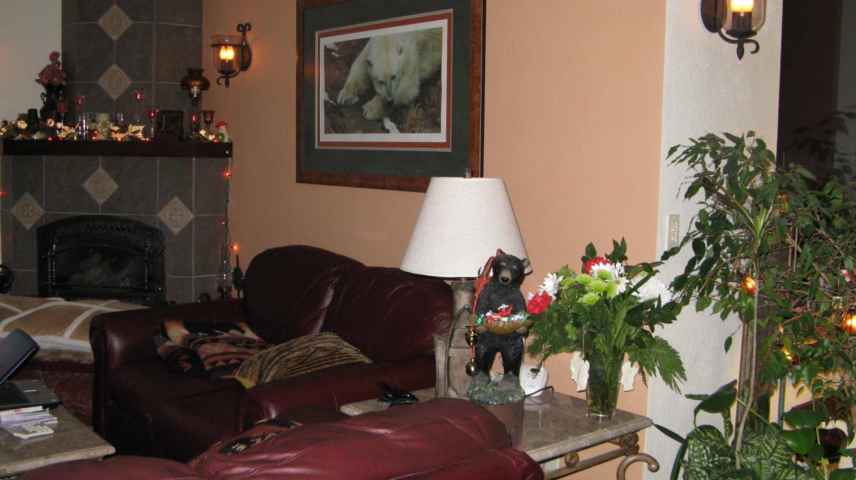 Photo 7