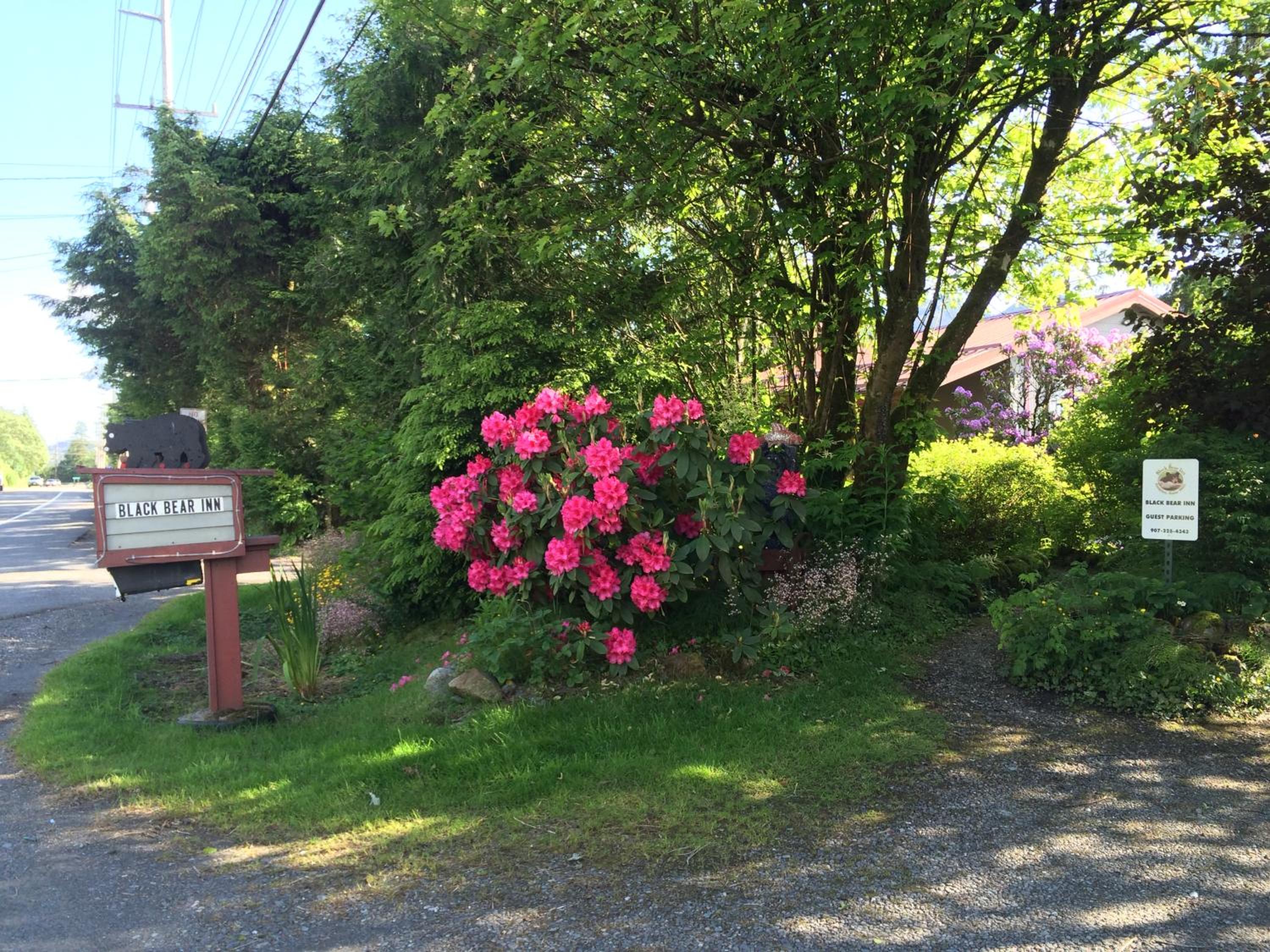 Black Bear Inn view 2
