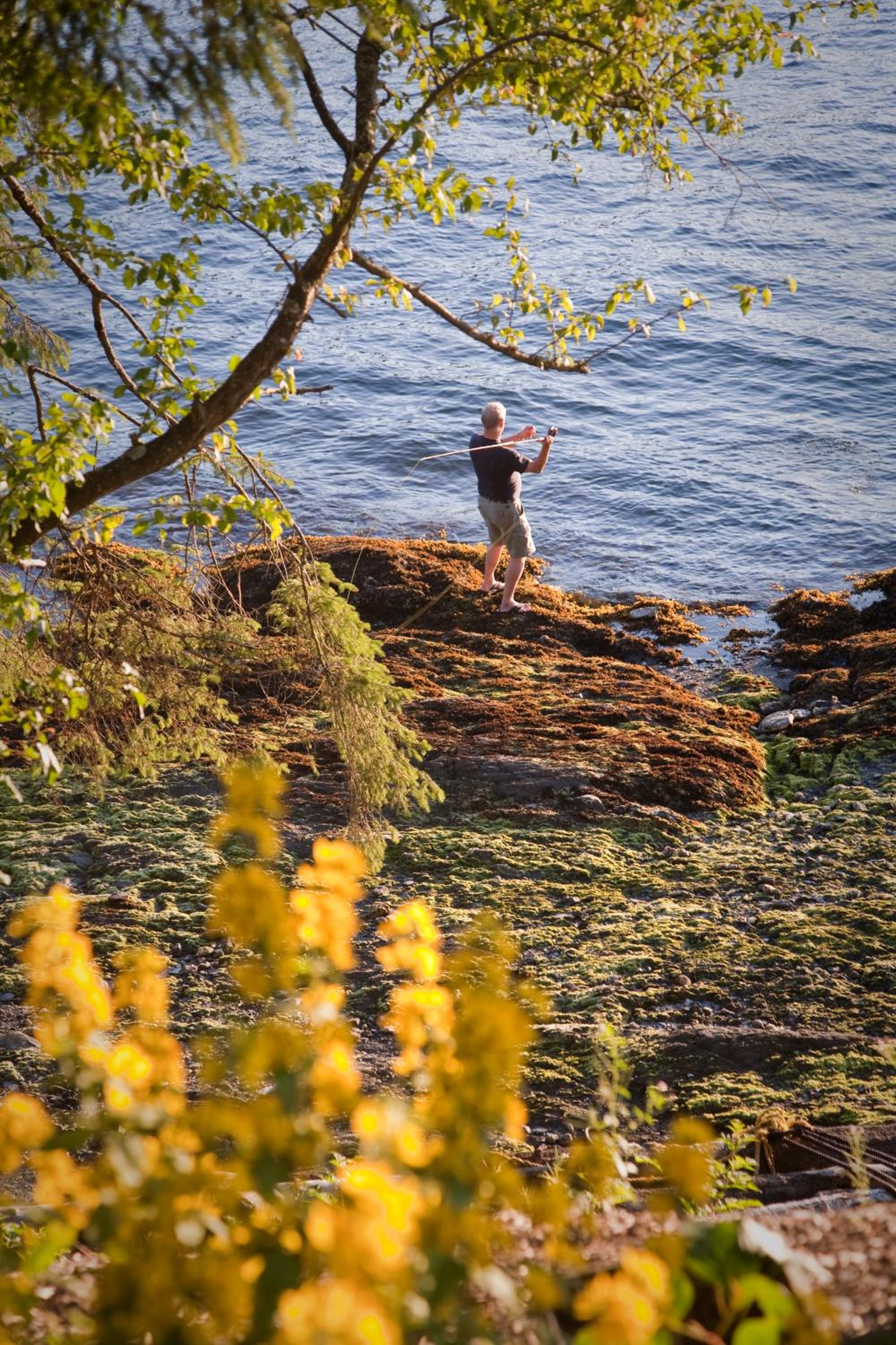 Ketchikan Vacations - Black Bear Inn - Property Image 5
