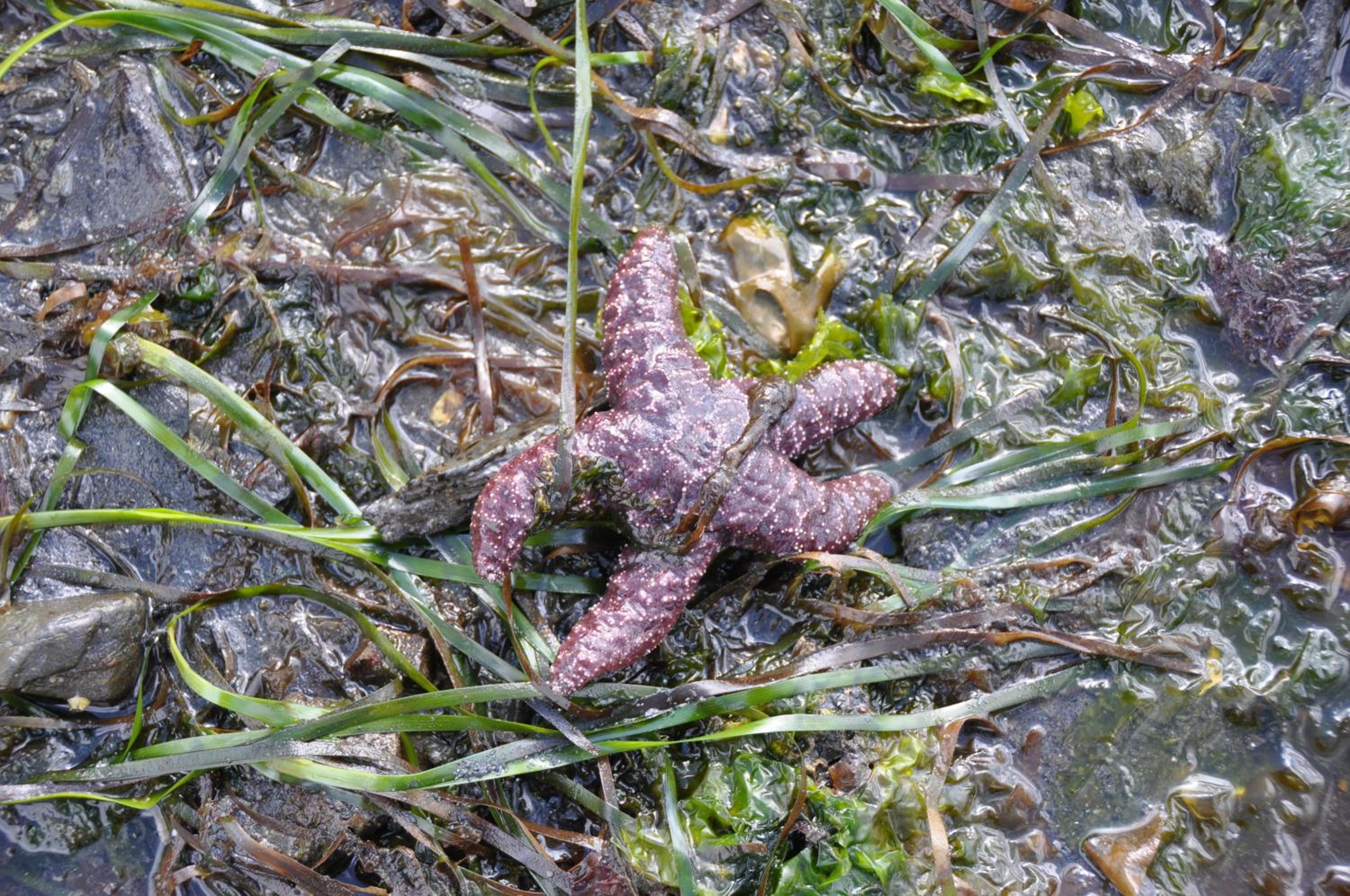 Ketchikan Vacations - Black Bear Inn - Property Image 3