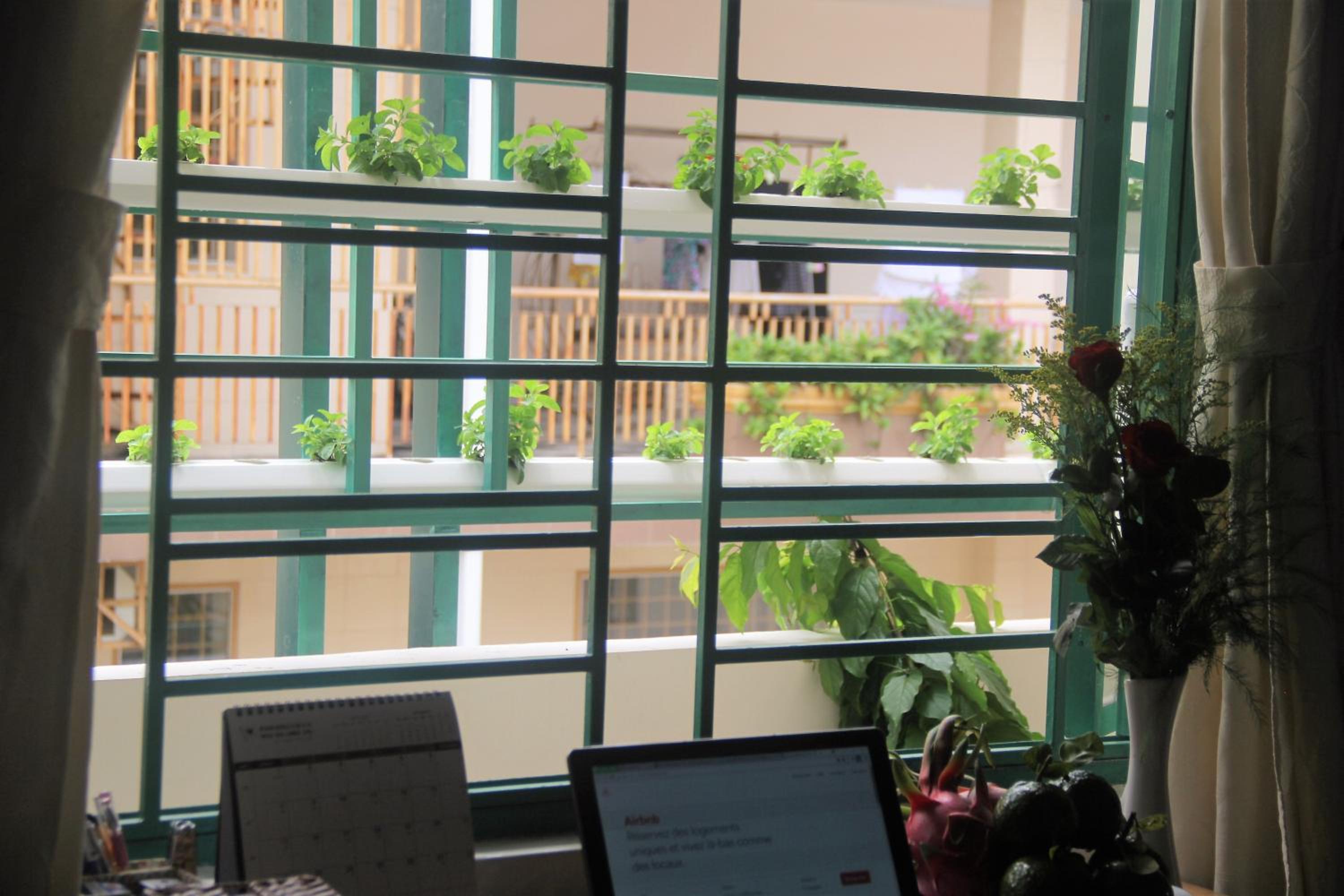 Winter Spring Homestay