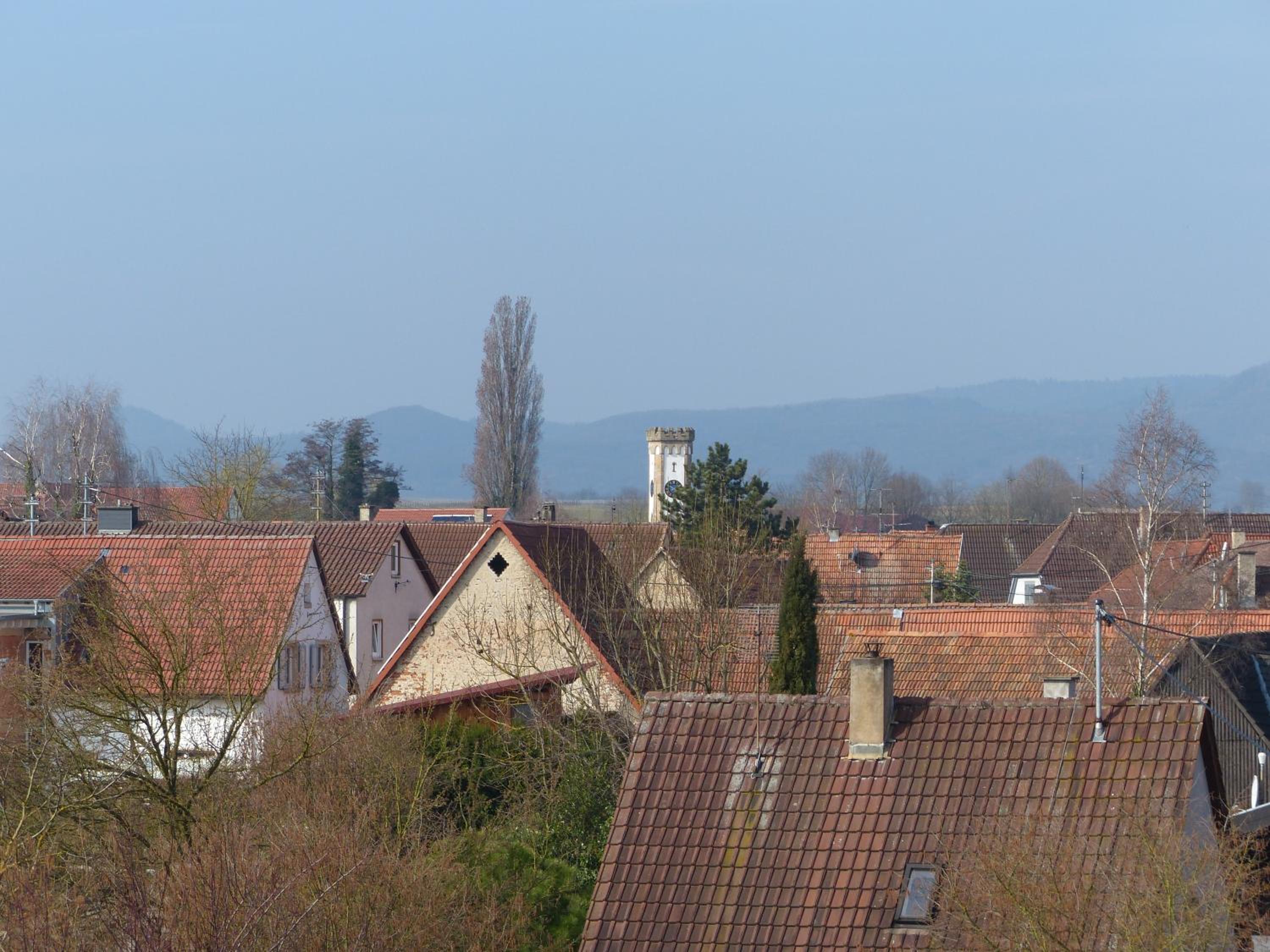Photo 31