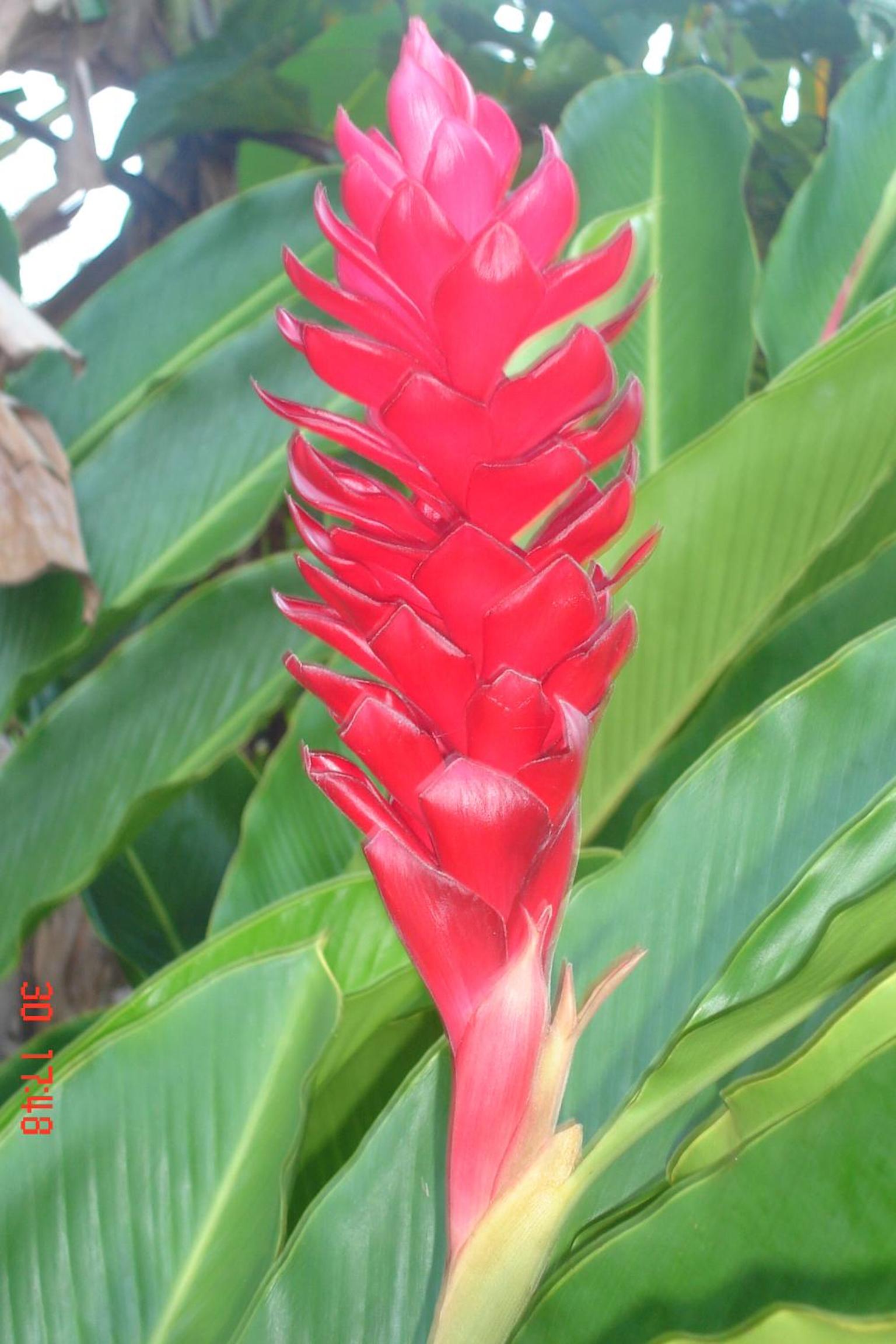 Paraíso das Águas Hotel Bahia