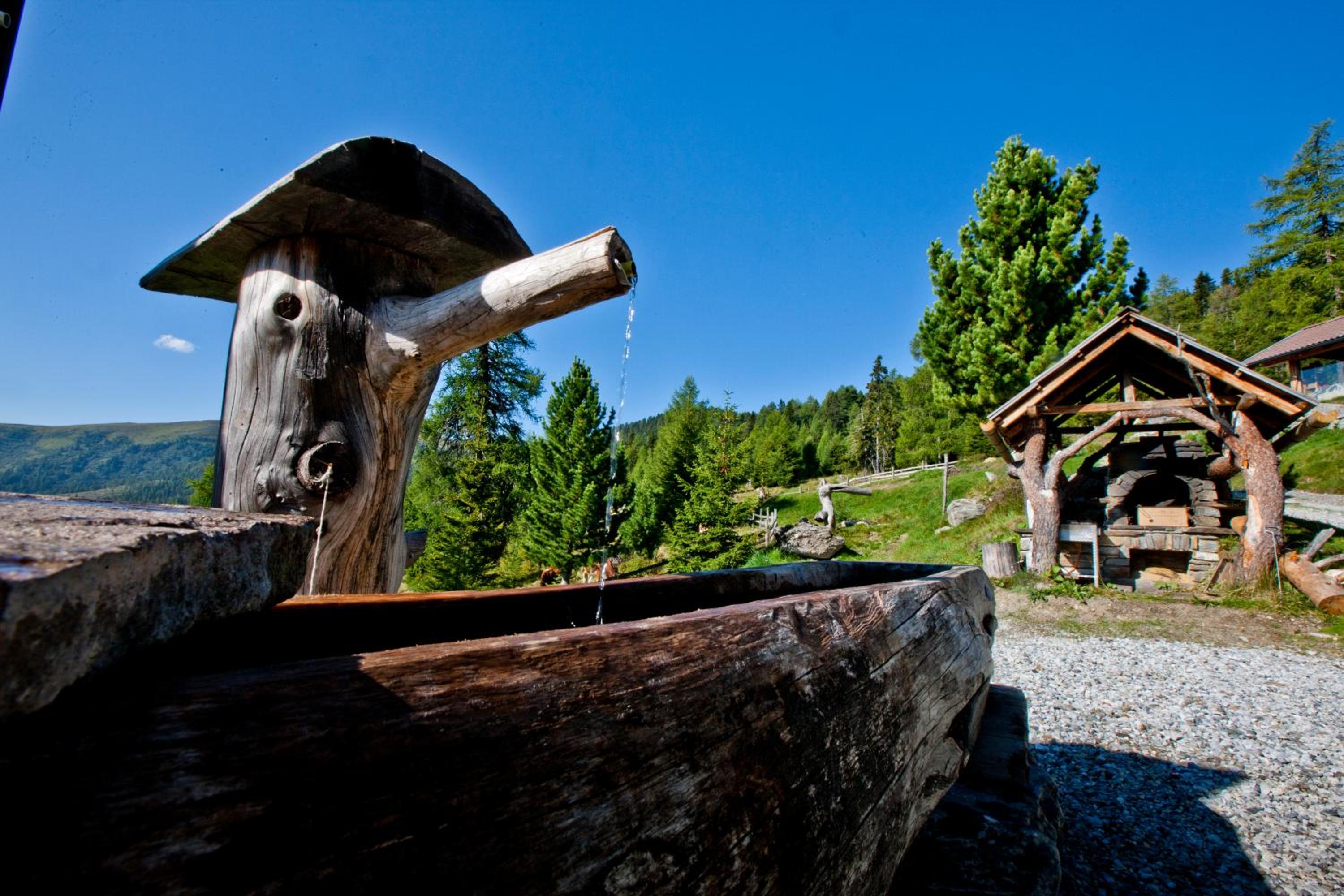 Almhütte Kristabauer