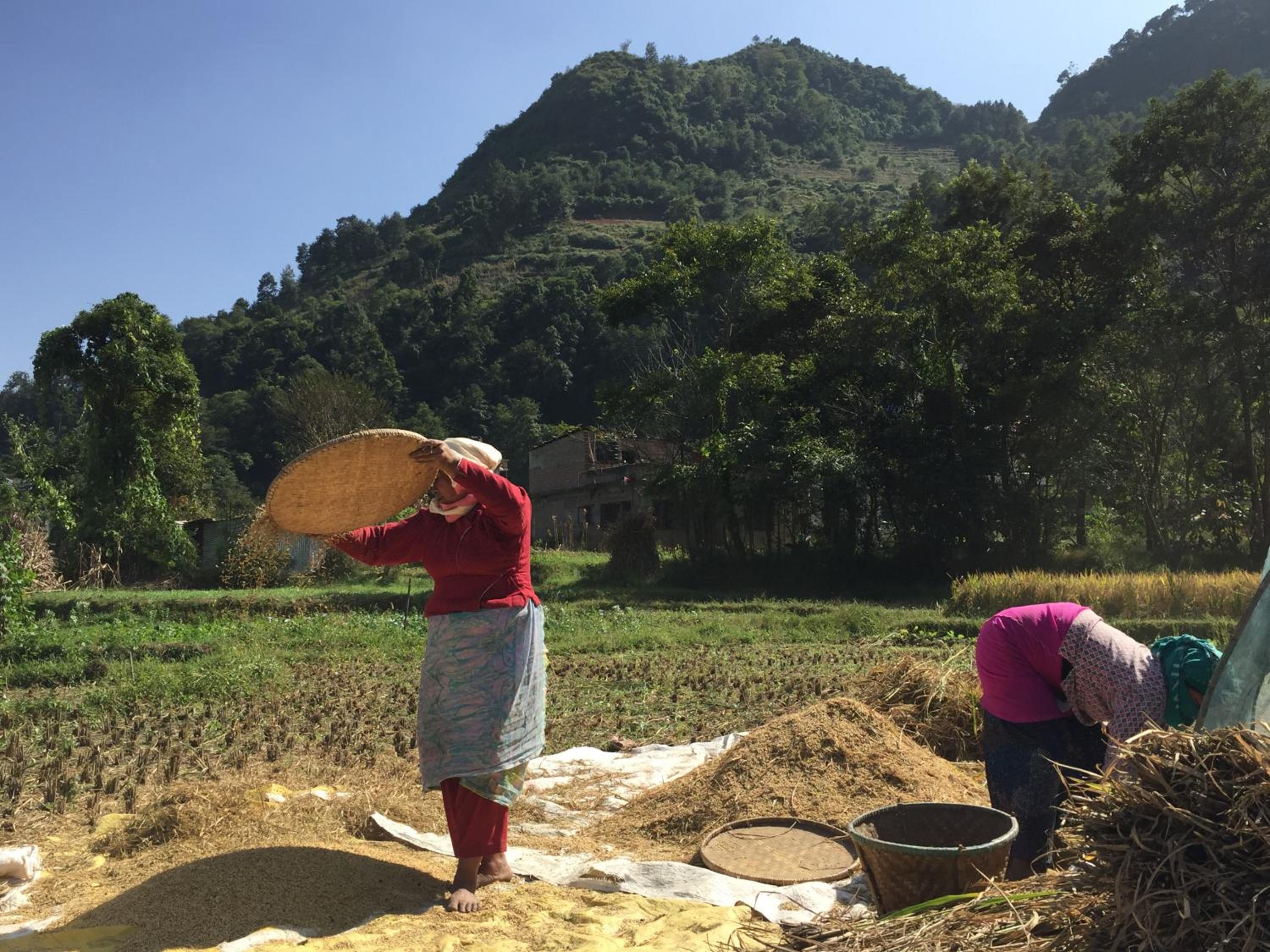 Homestay Nepal