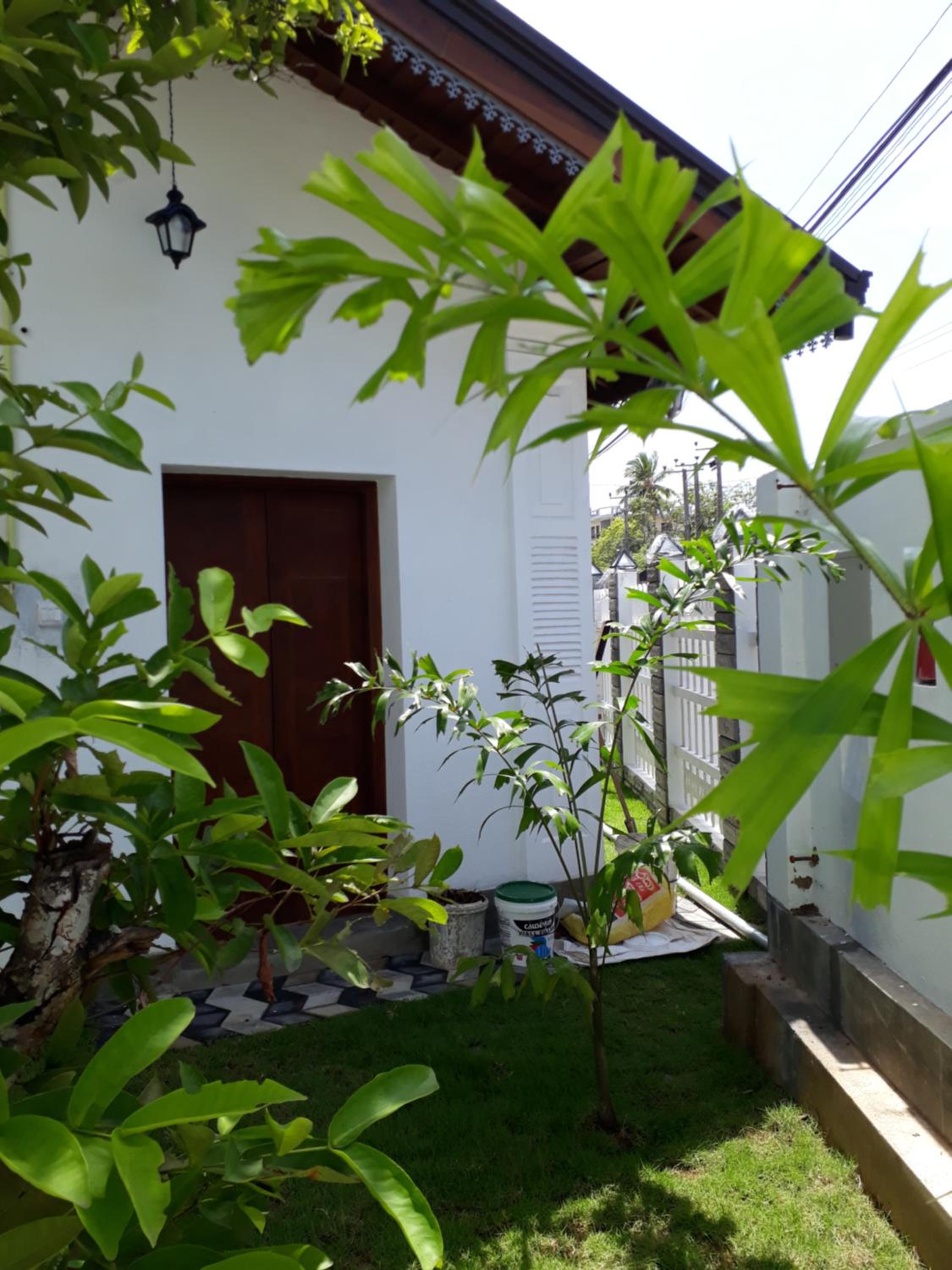 Photo 31