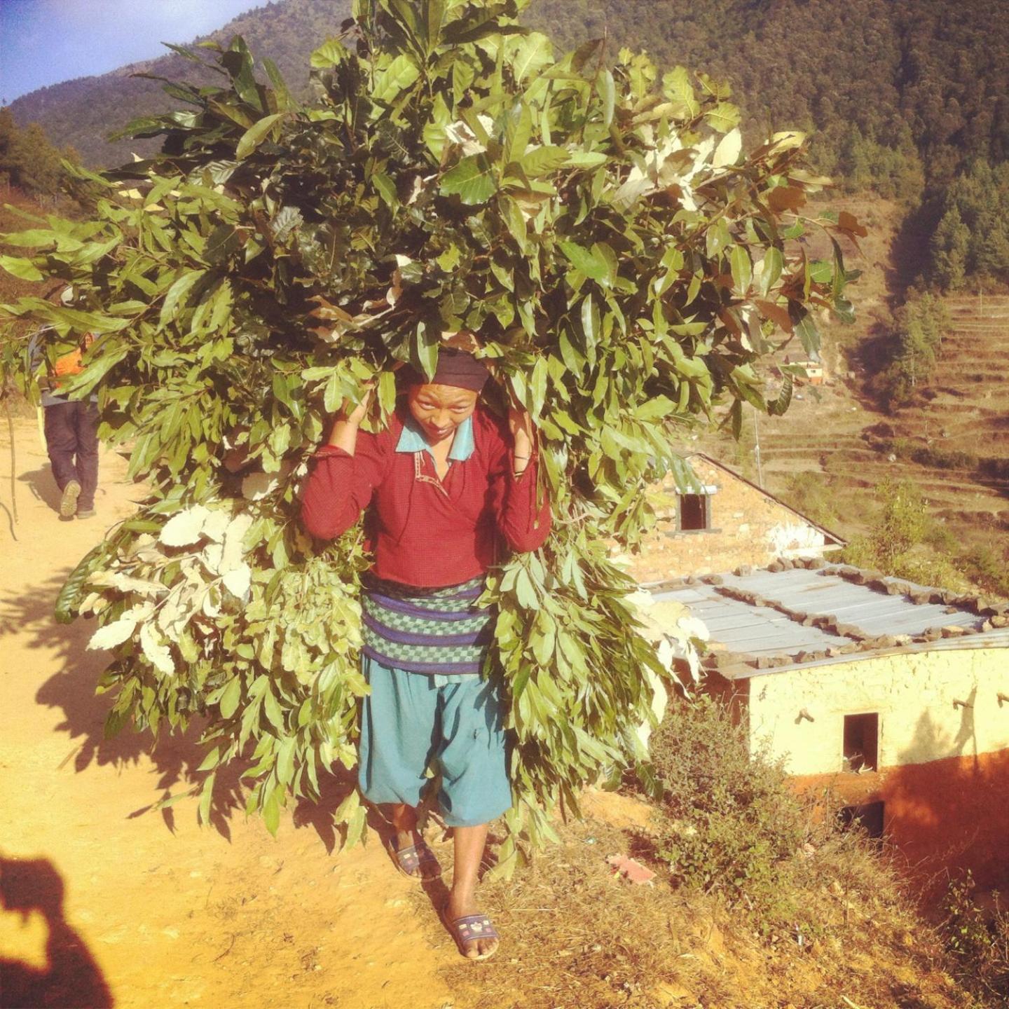 Homestay Nepal