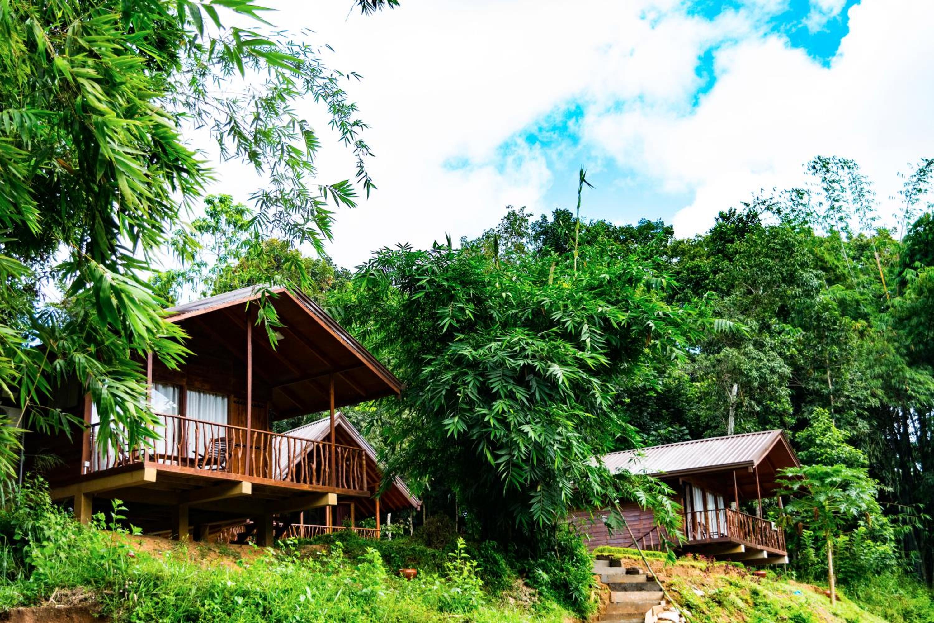 Kandy Cabana, photo 67