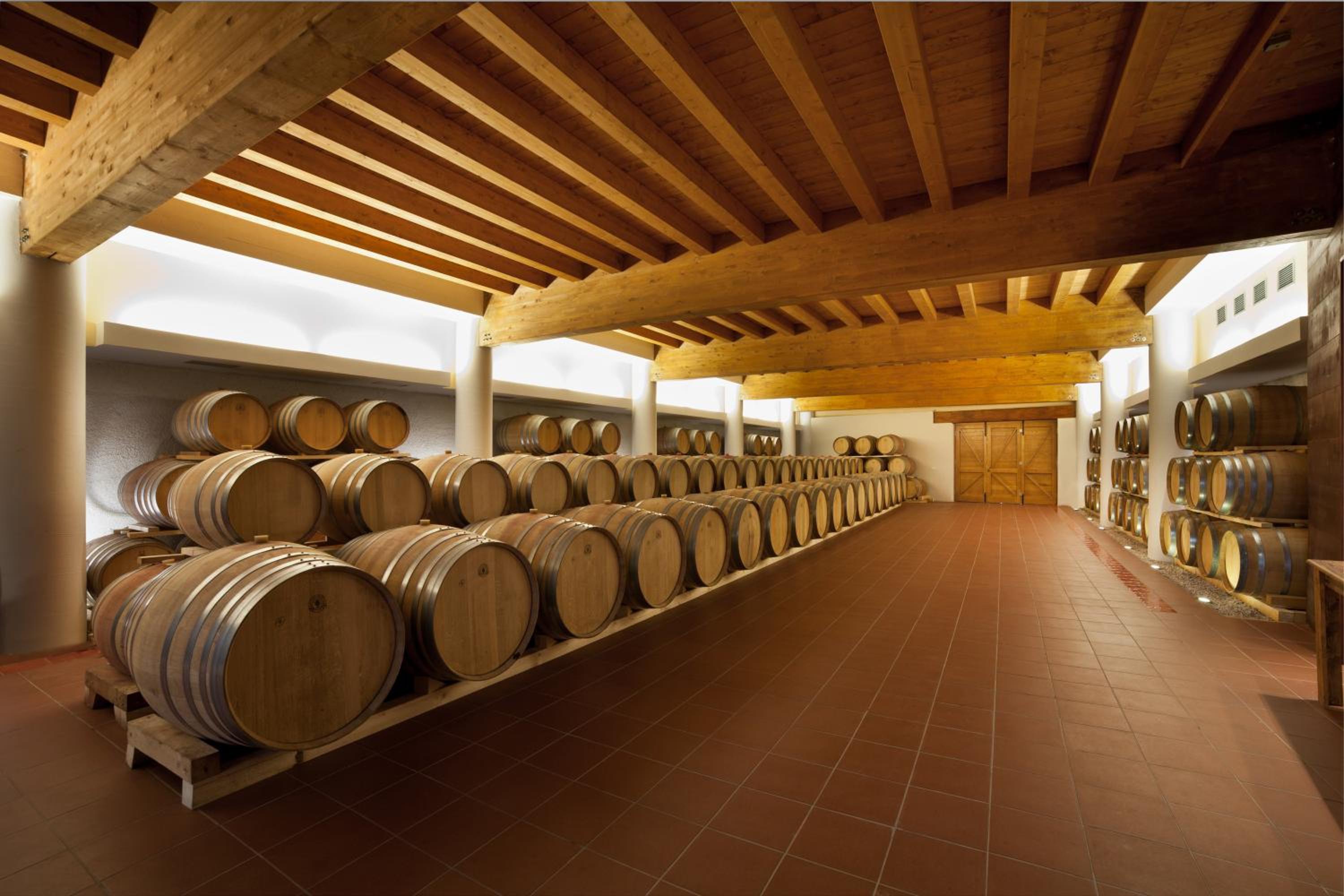 Cincinnato Wine Resort view 4