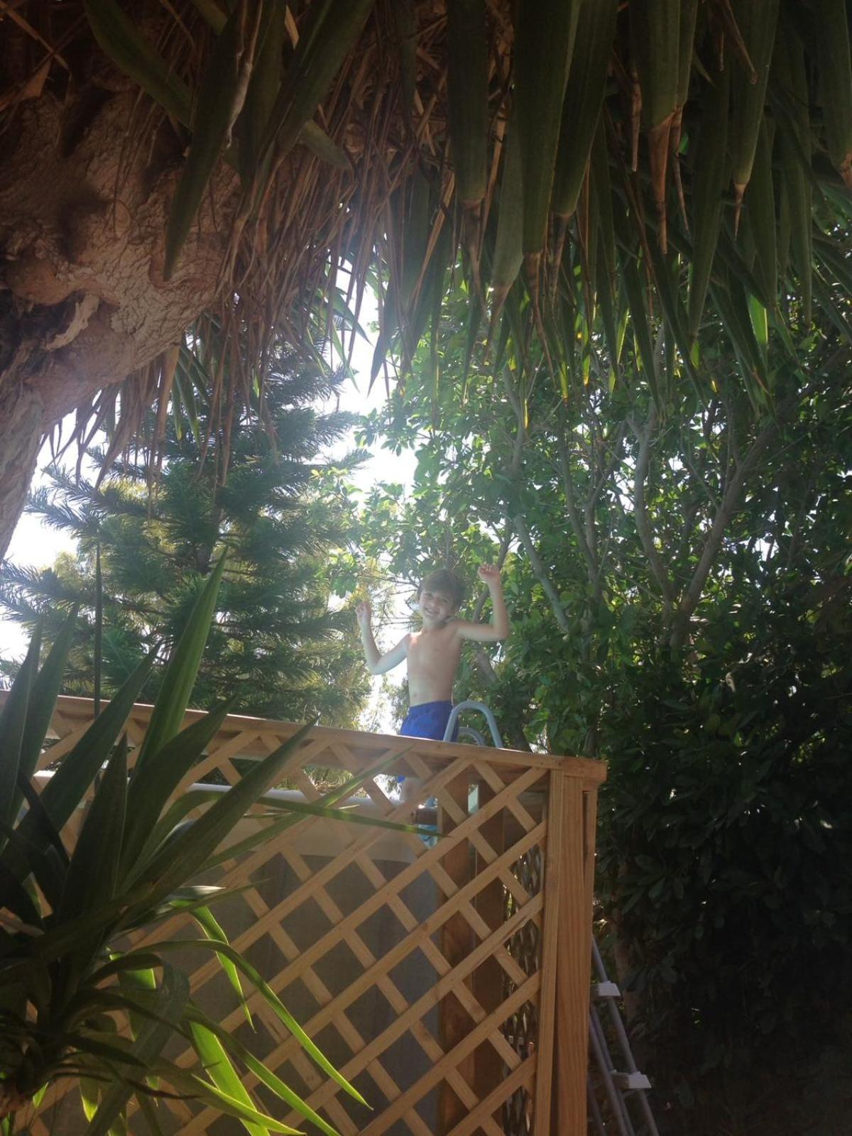 Photo 42