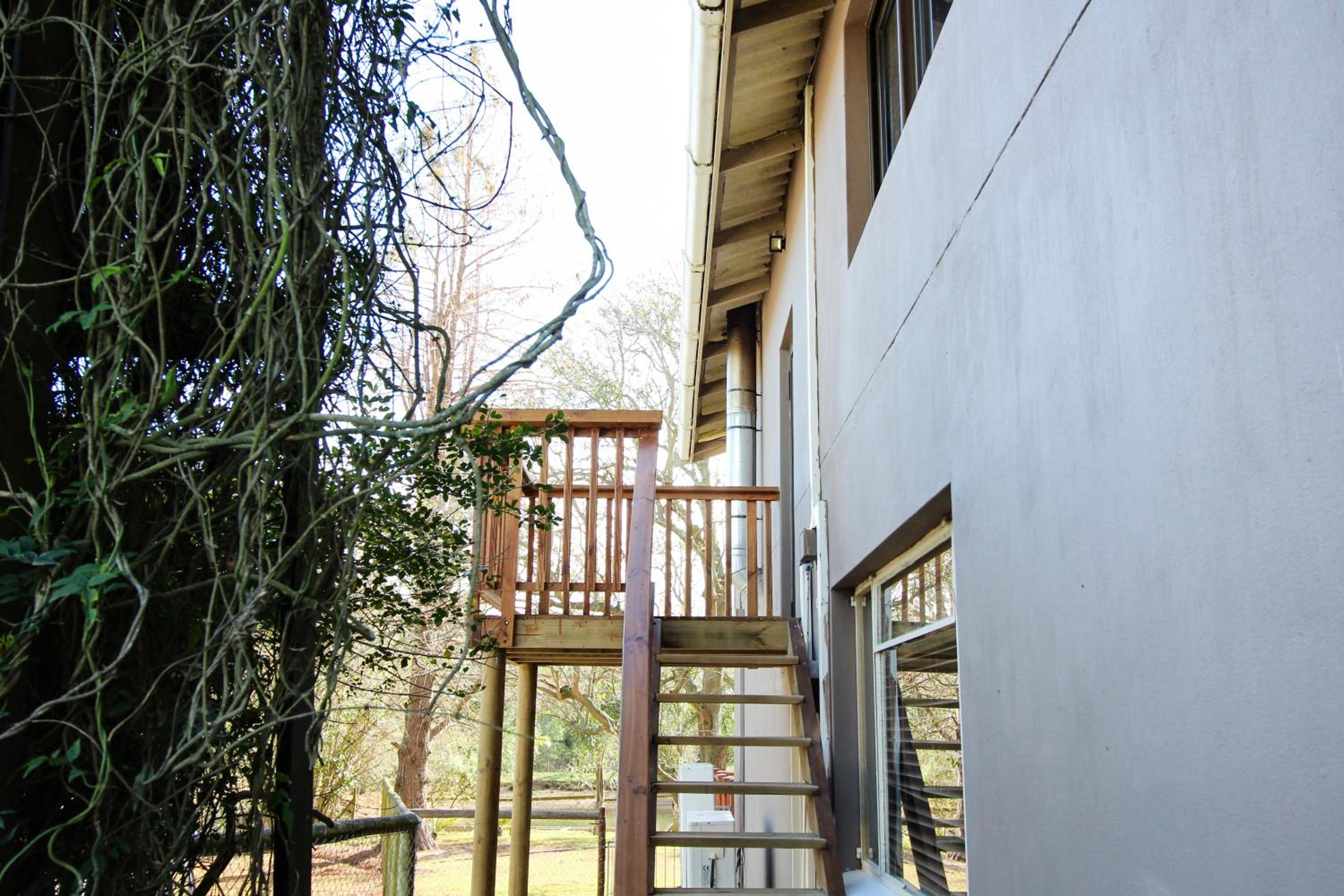 Lentelus Guesthouse Pty Ltd view 2