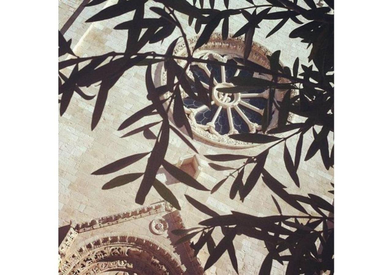Photo 94