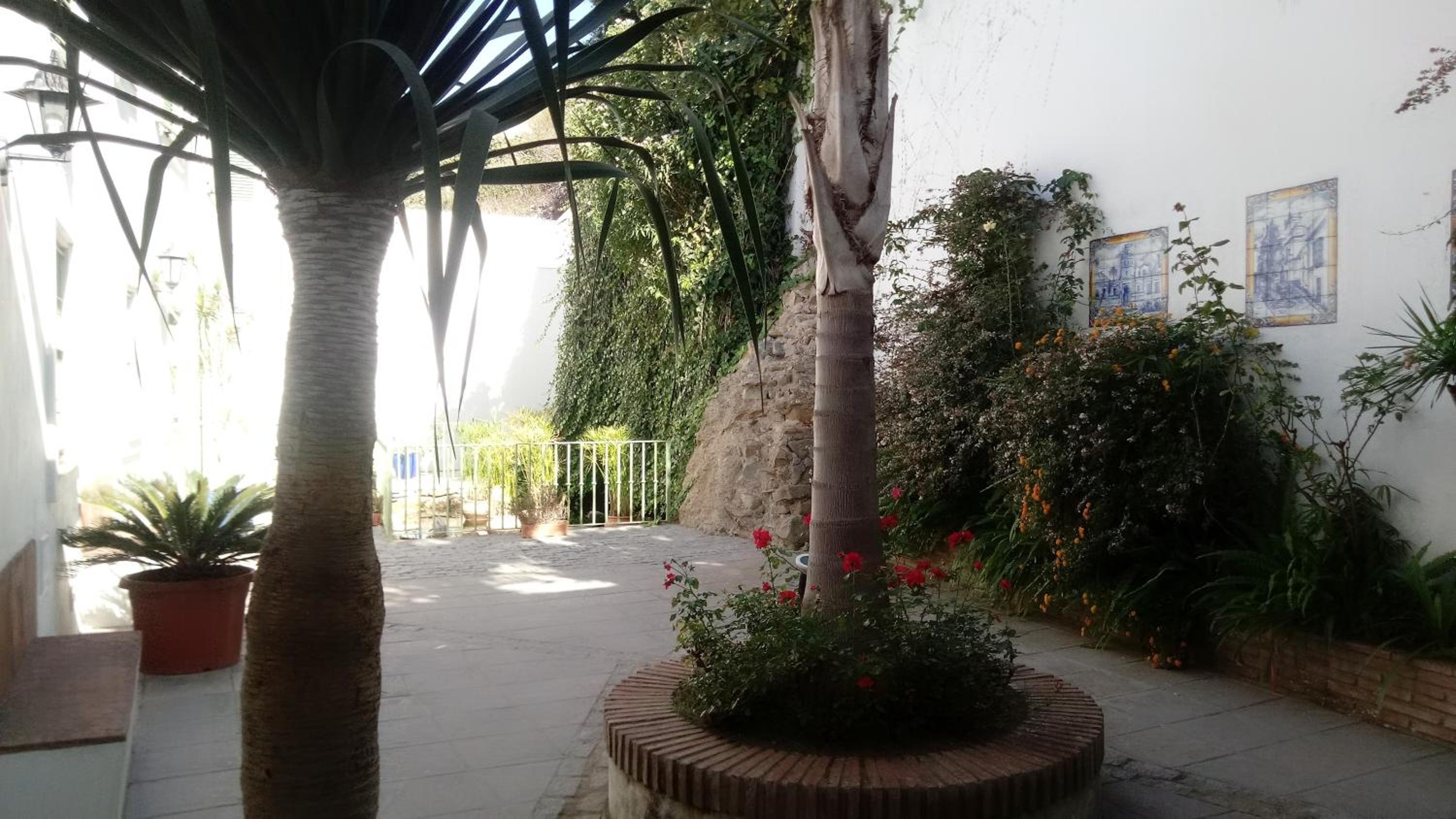 Photo 34