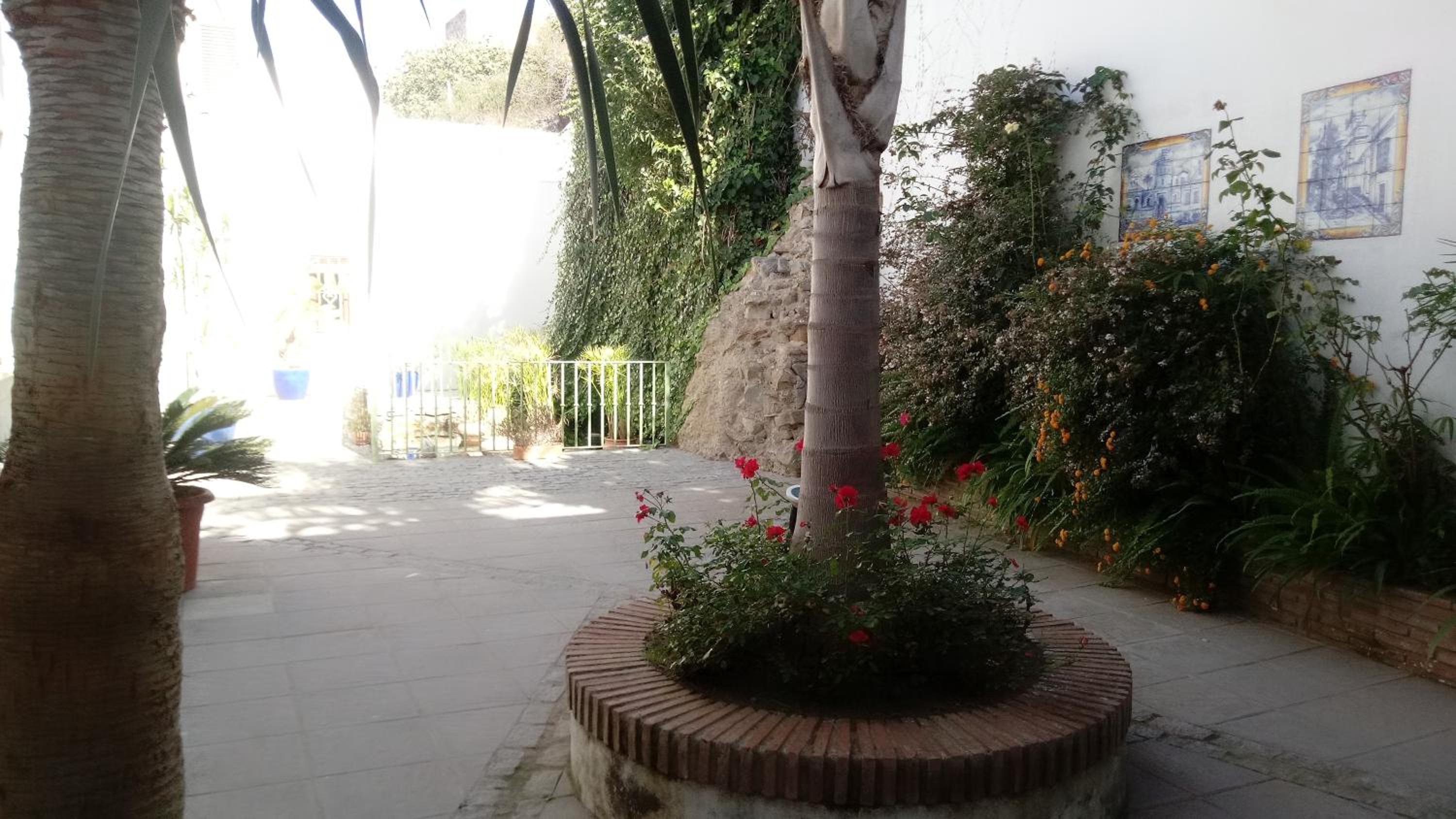 Photo 35