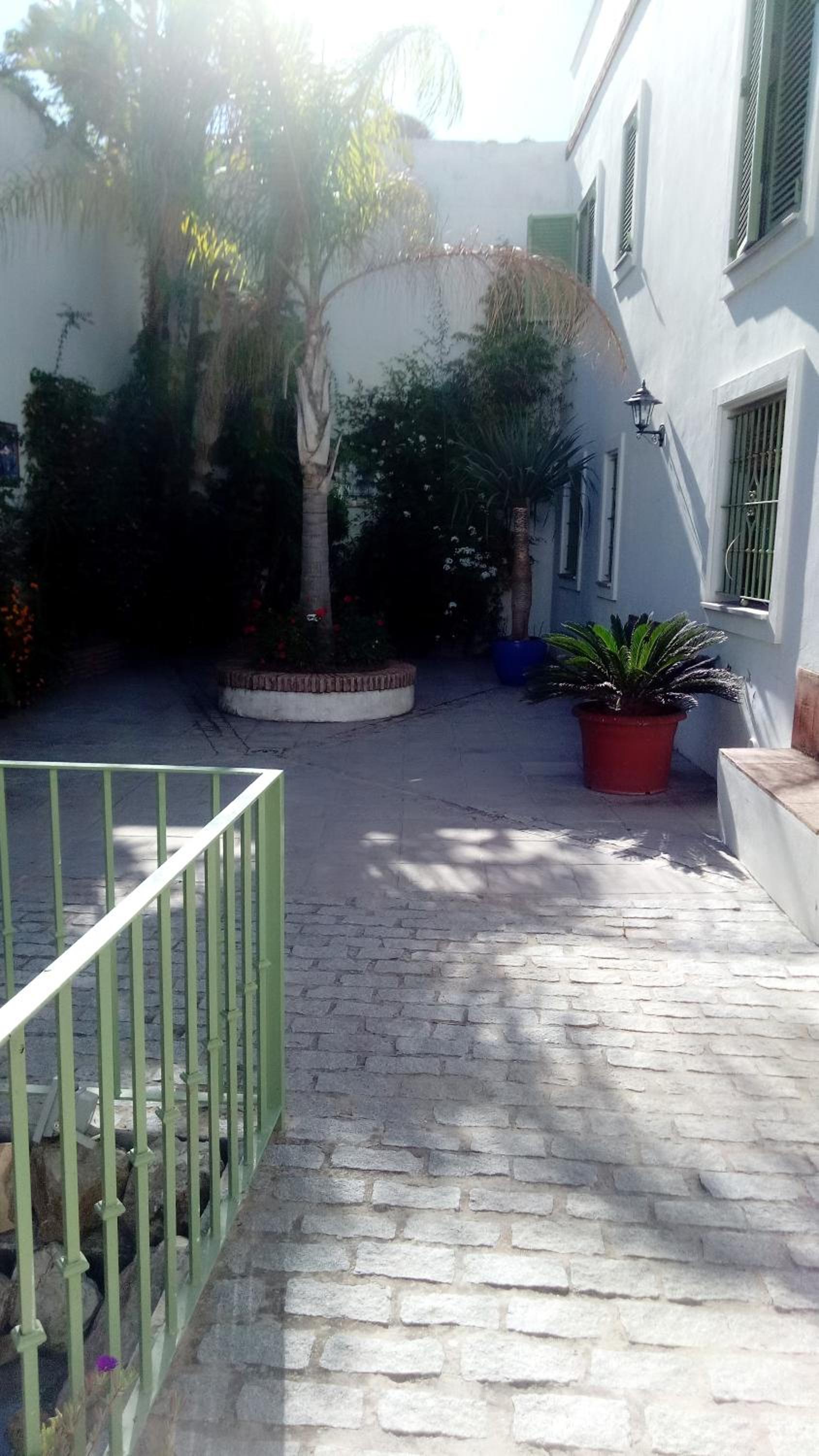 Photo 36