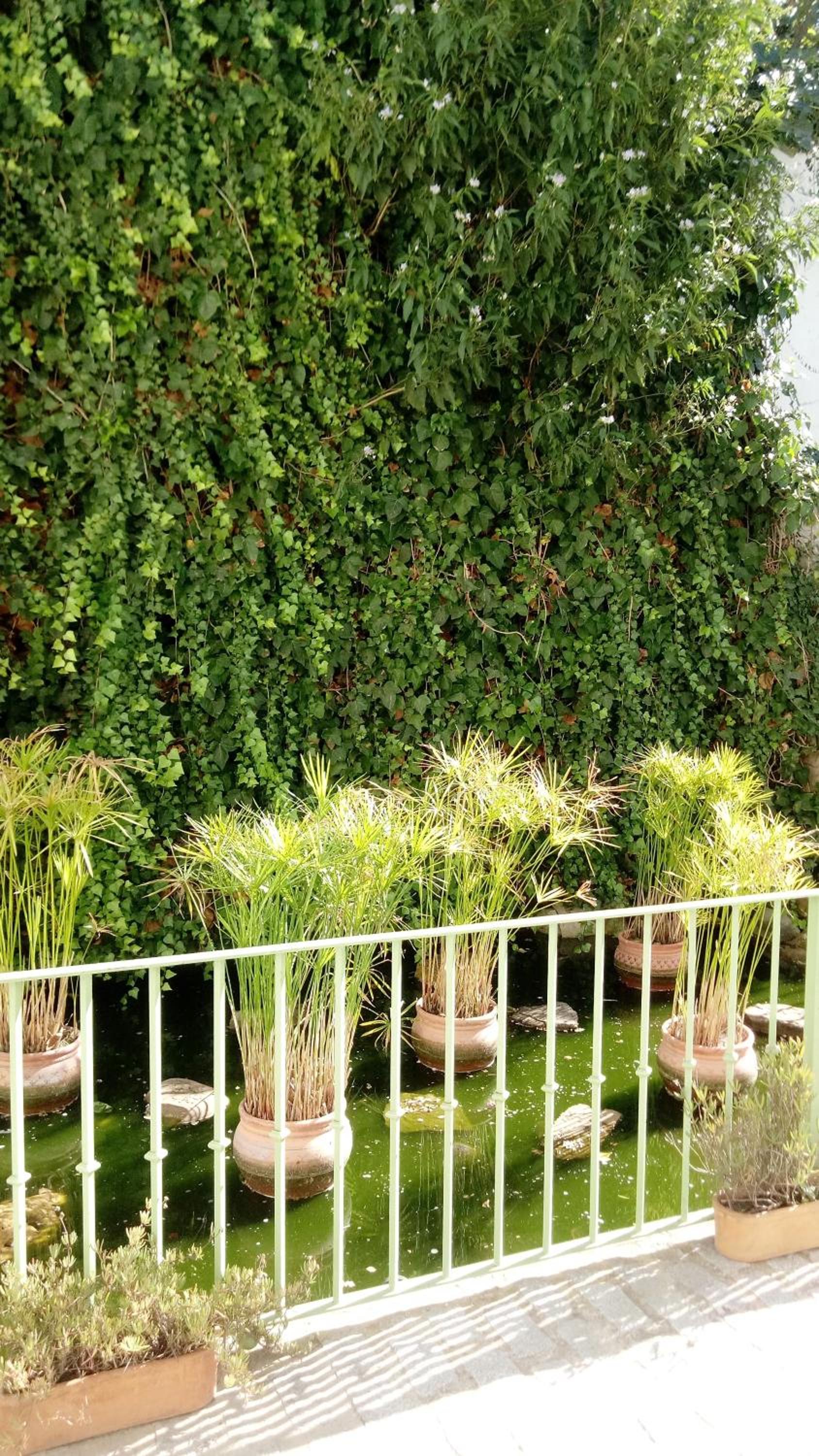 Photo 37