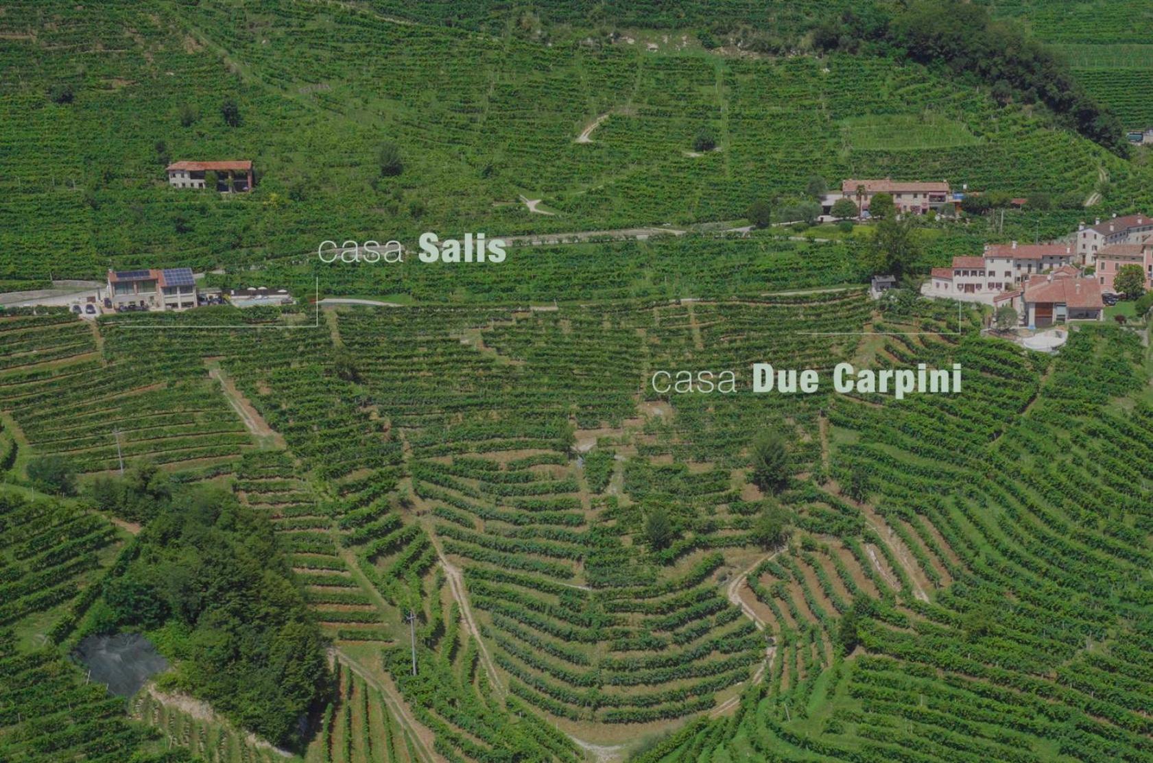 Agriturismo due Carpini