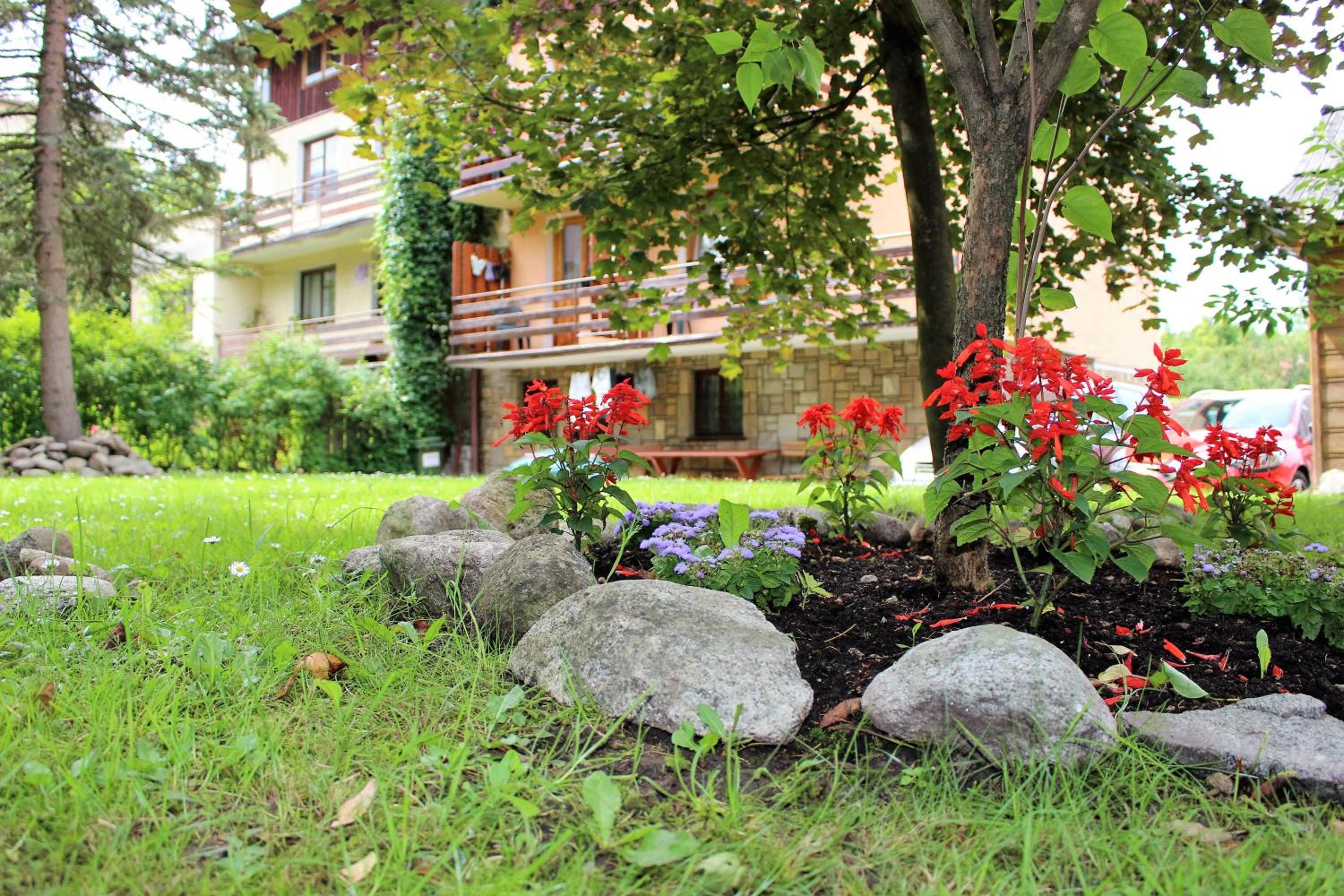 Photo 13