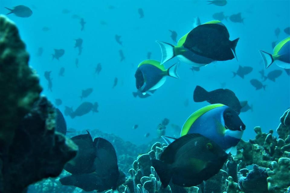 Pulau Weh Paradise