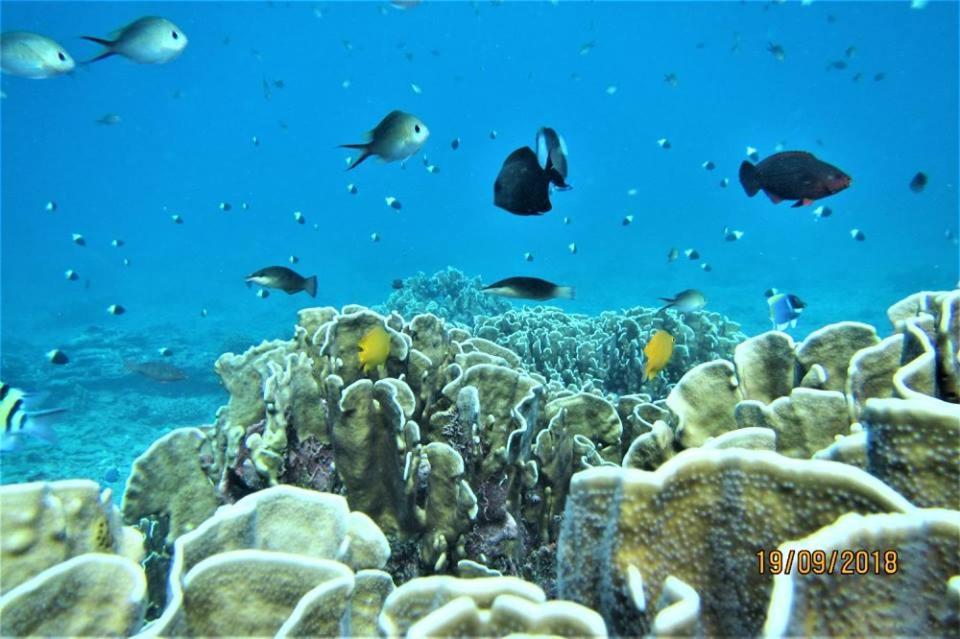 Pulau Weh Paradise