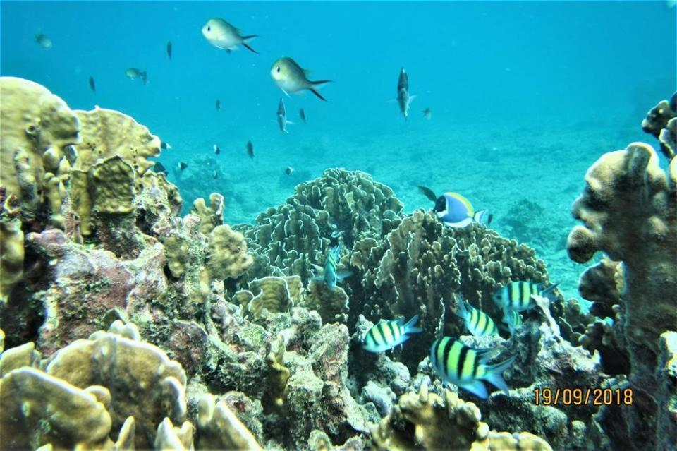 Pulau Weh Paradise