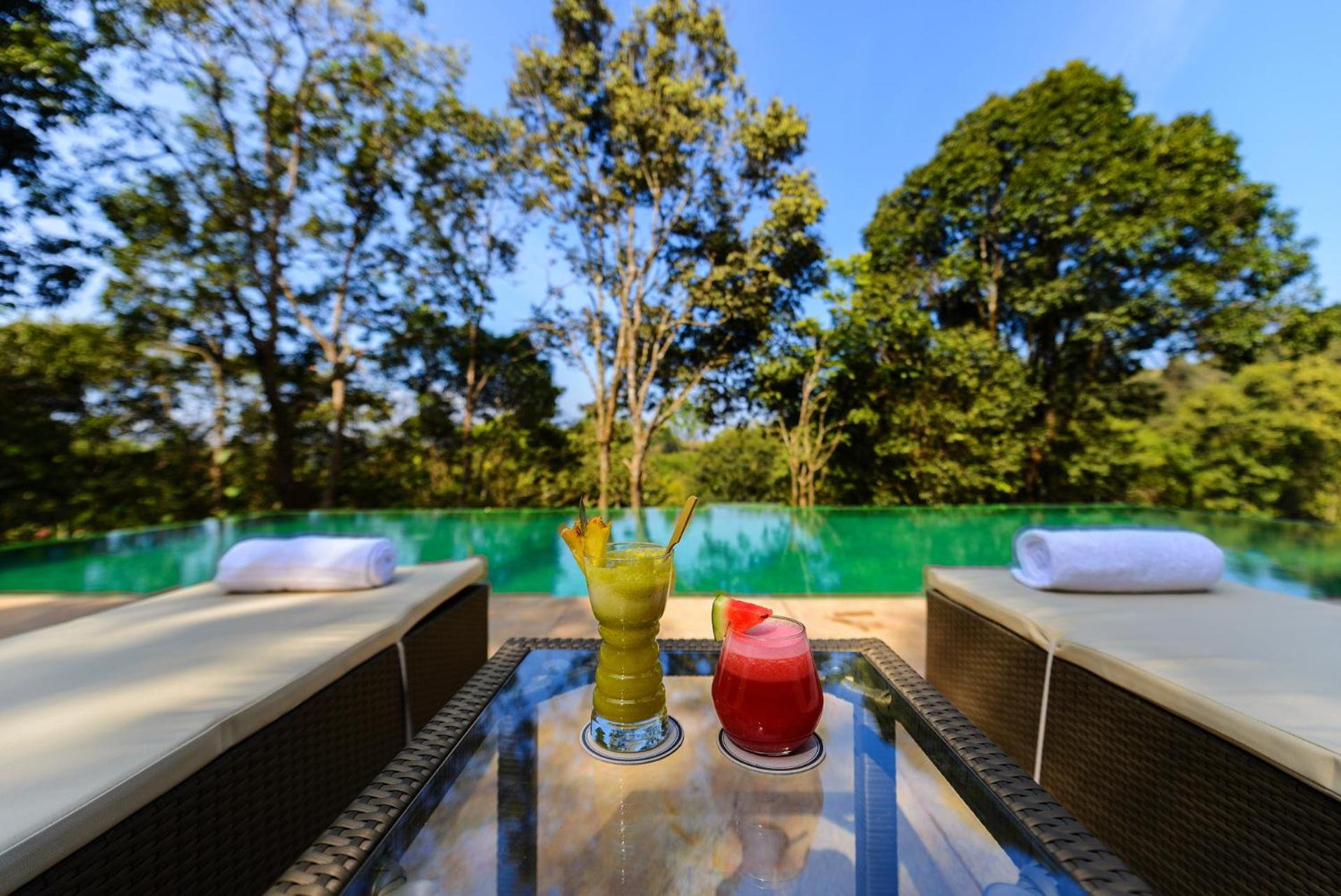 Wayanad Wild - A CGH Earth Experience