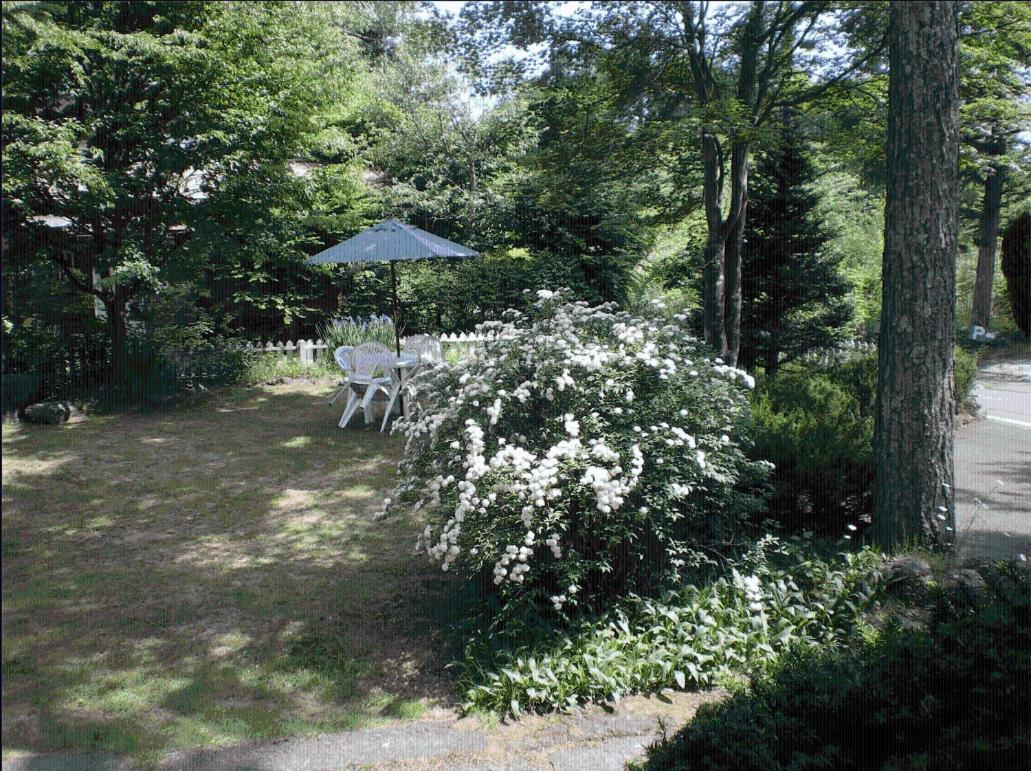 Photo 35