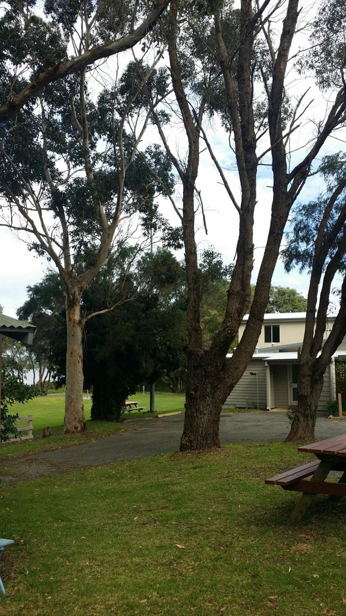 Photo 16