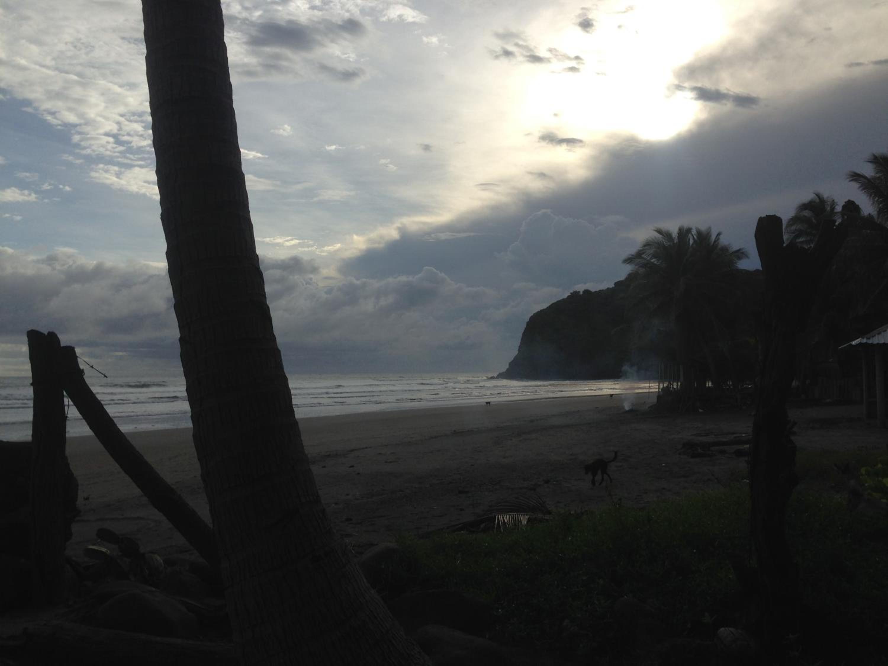 Photo 33