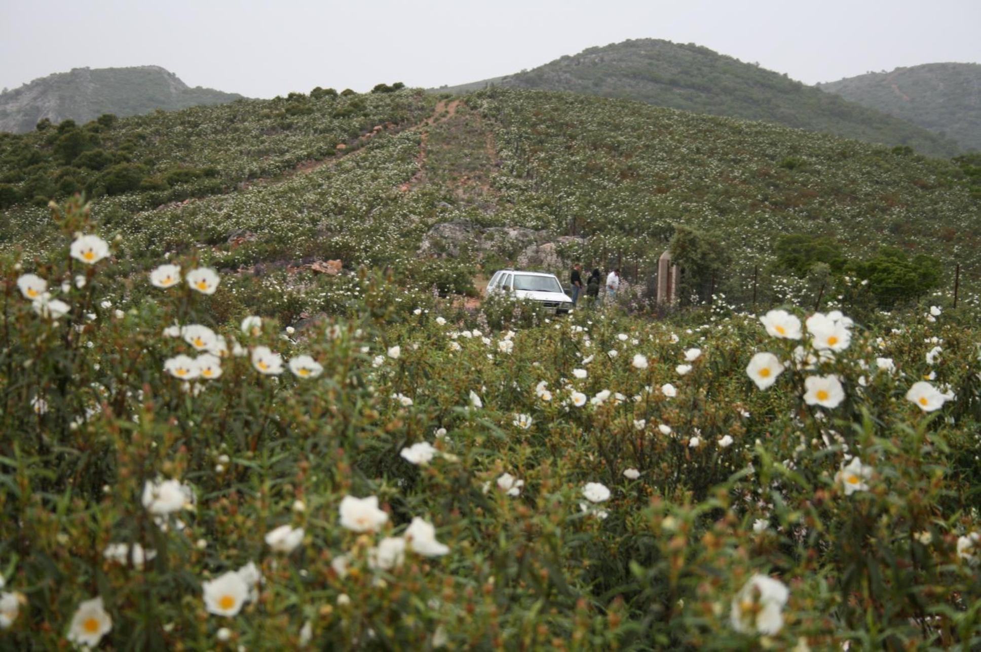 La Posada Del Corralón