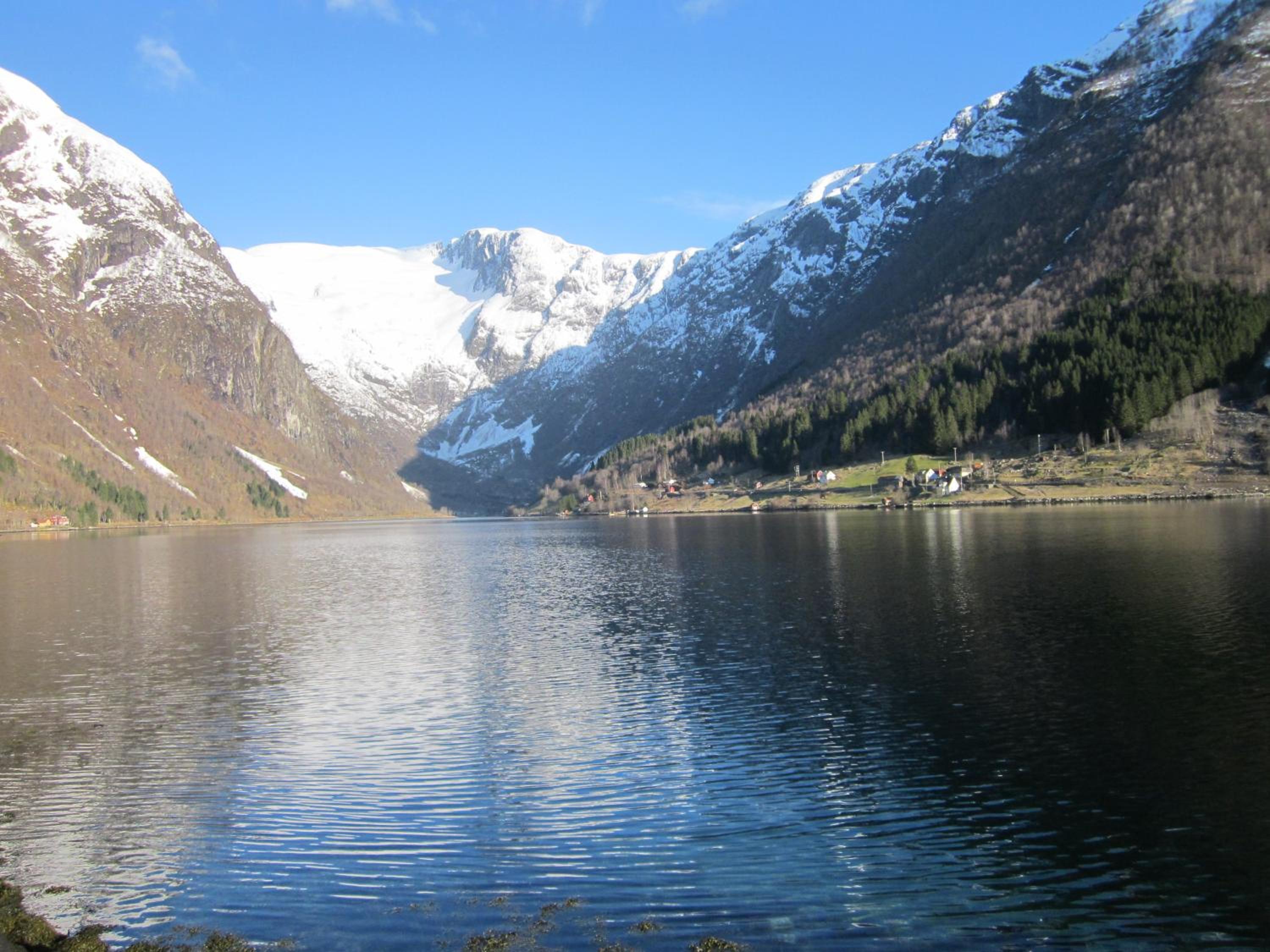 Photo 10
