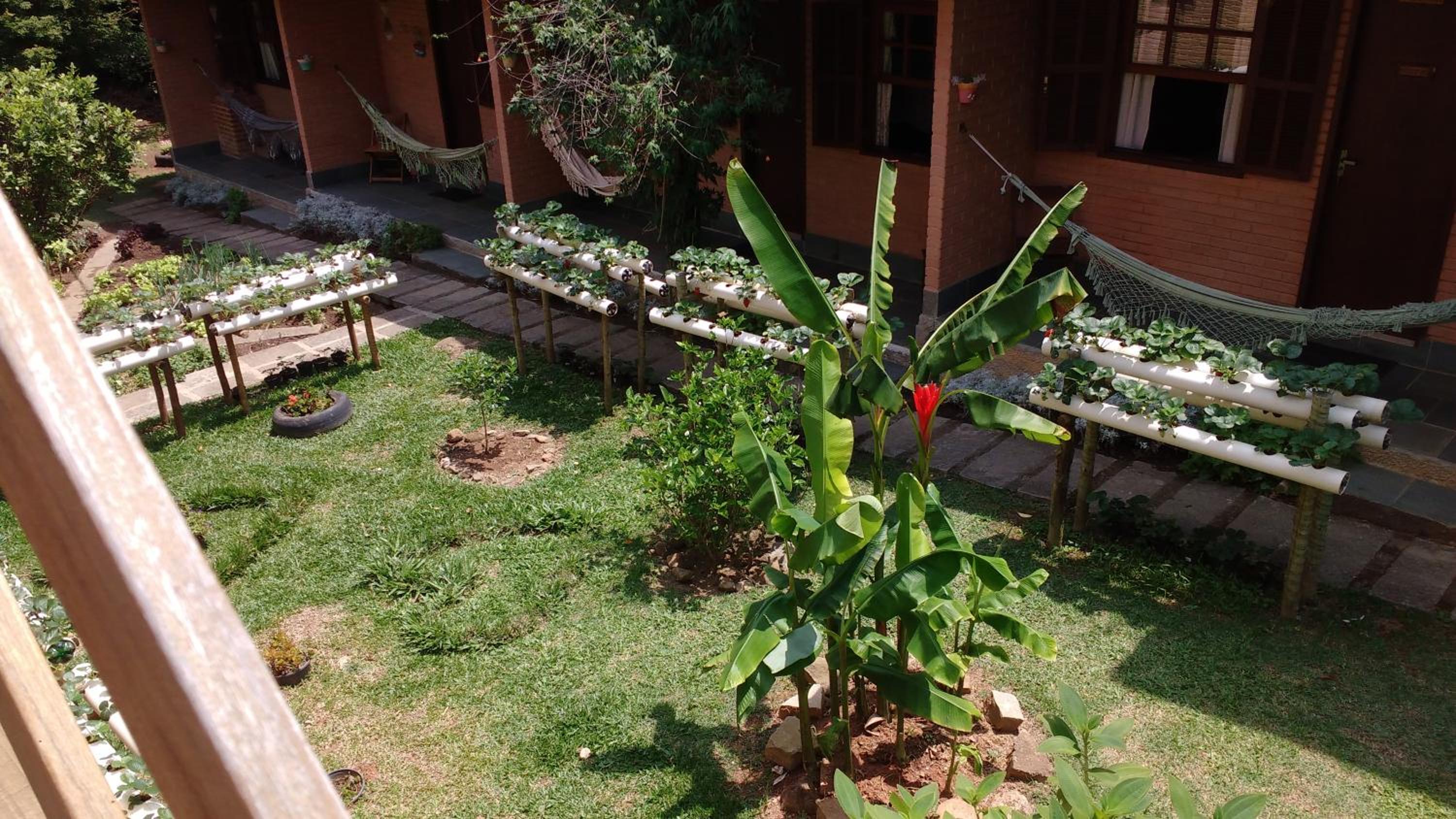 Photo 42