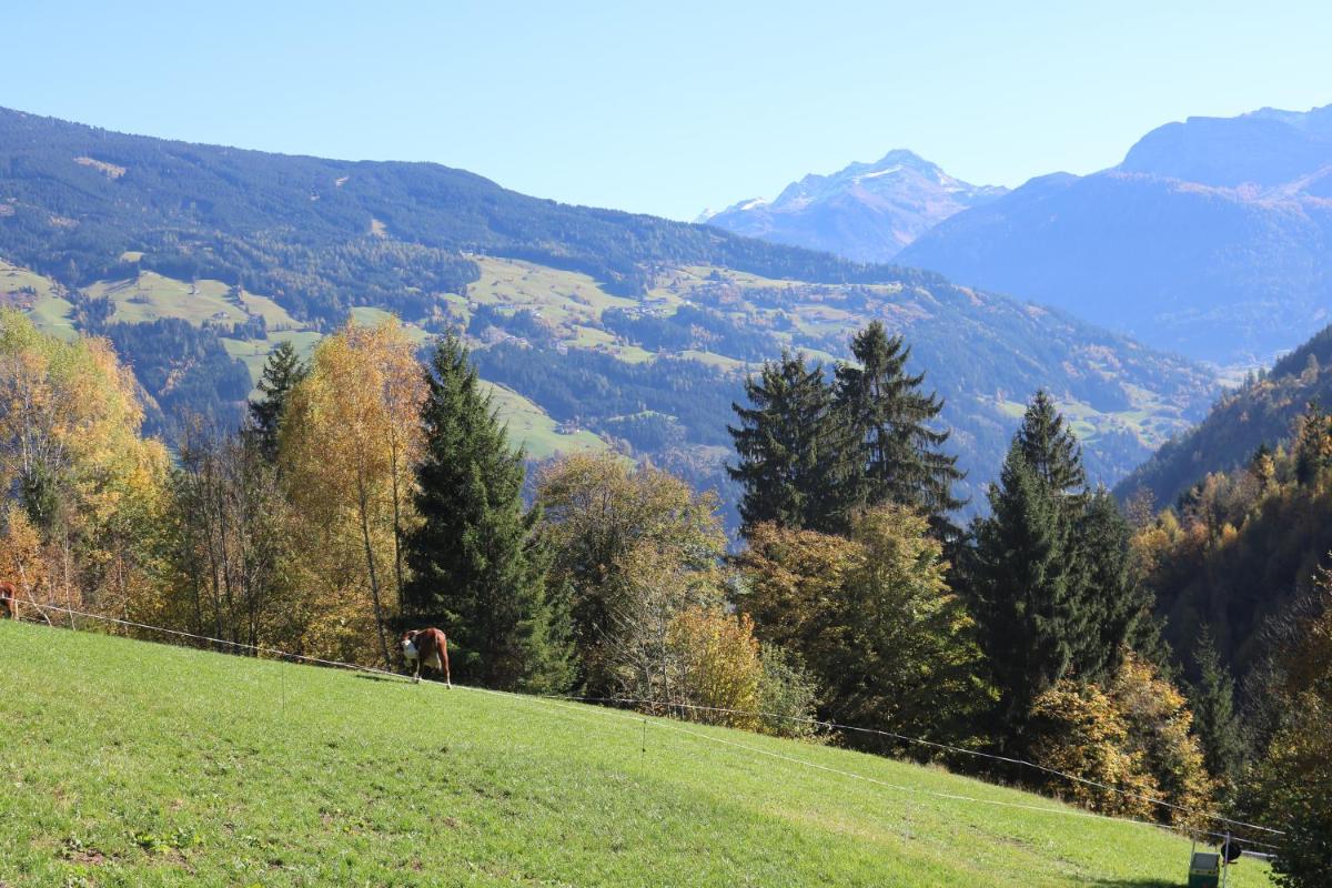 Apart Gerlossteinblick