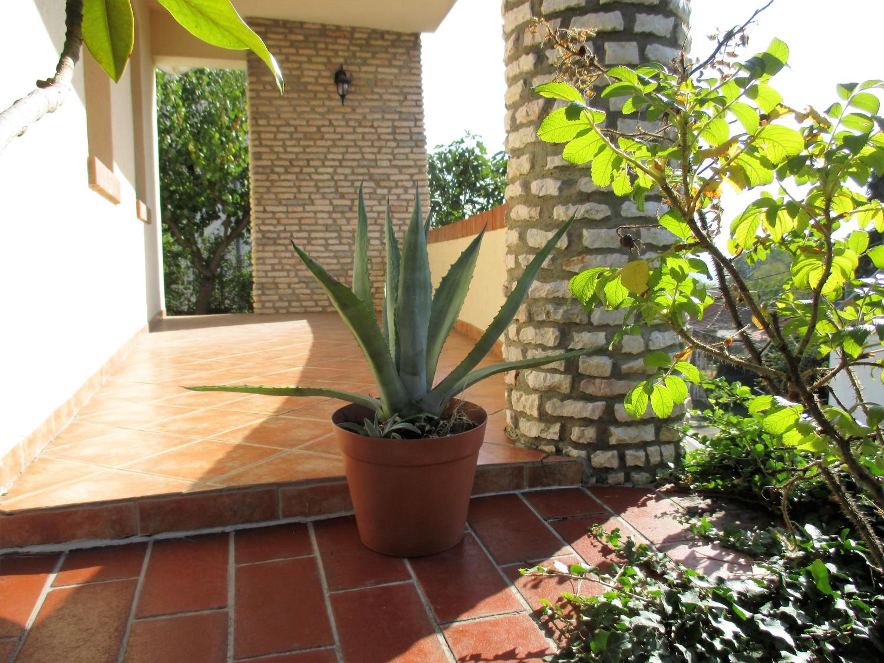 Mediterrán apartman view 4