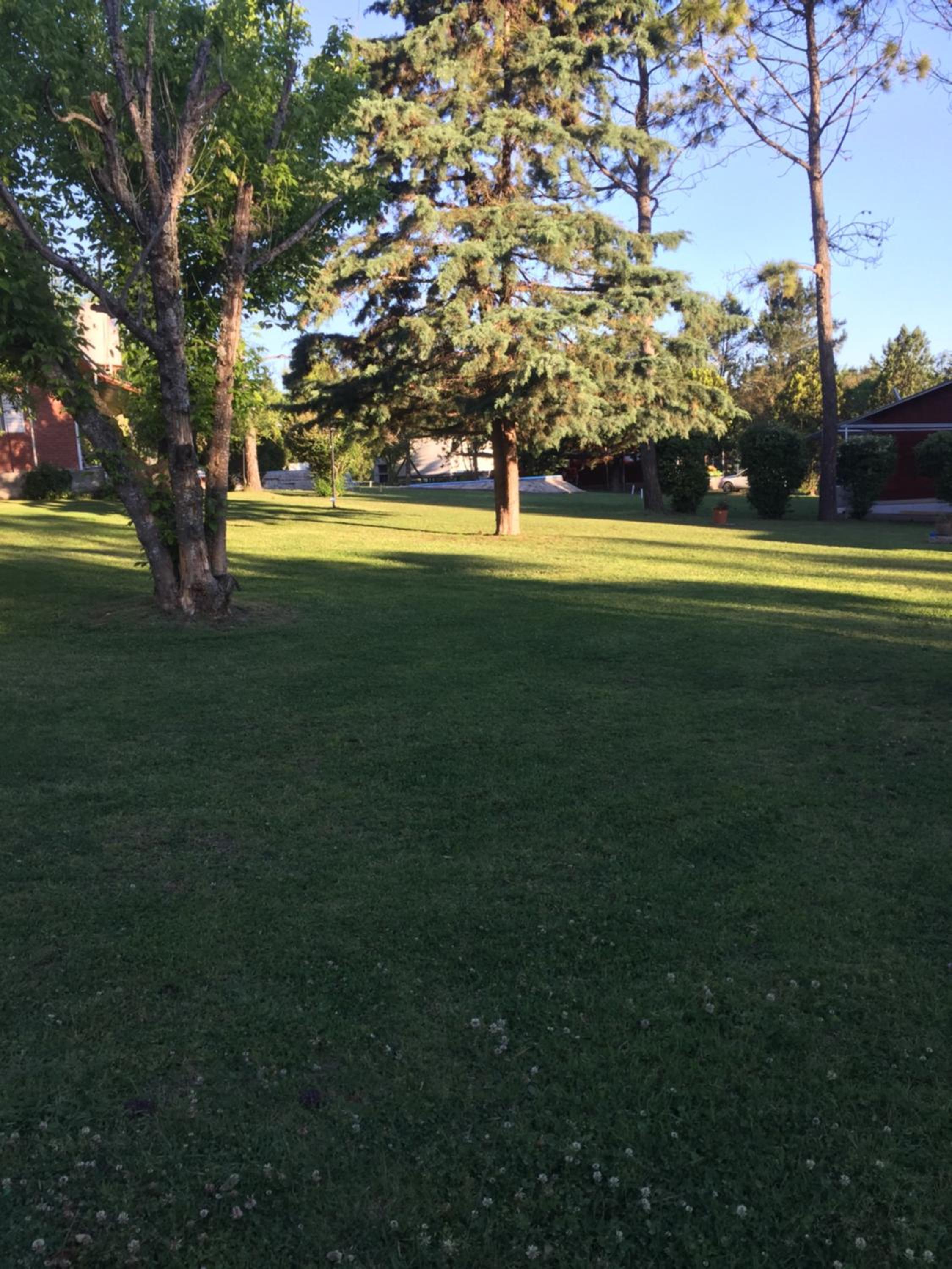 other