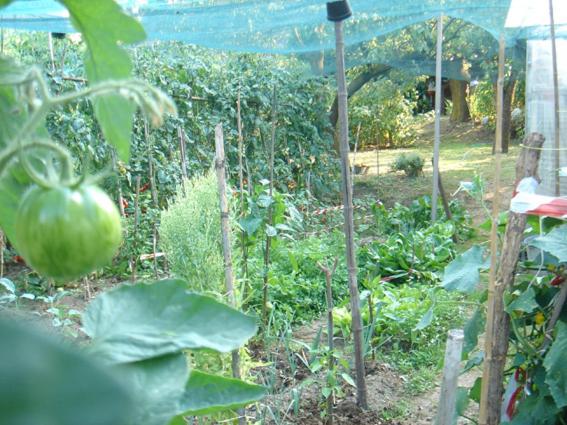 B&B Il Torchio, photo 31
