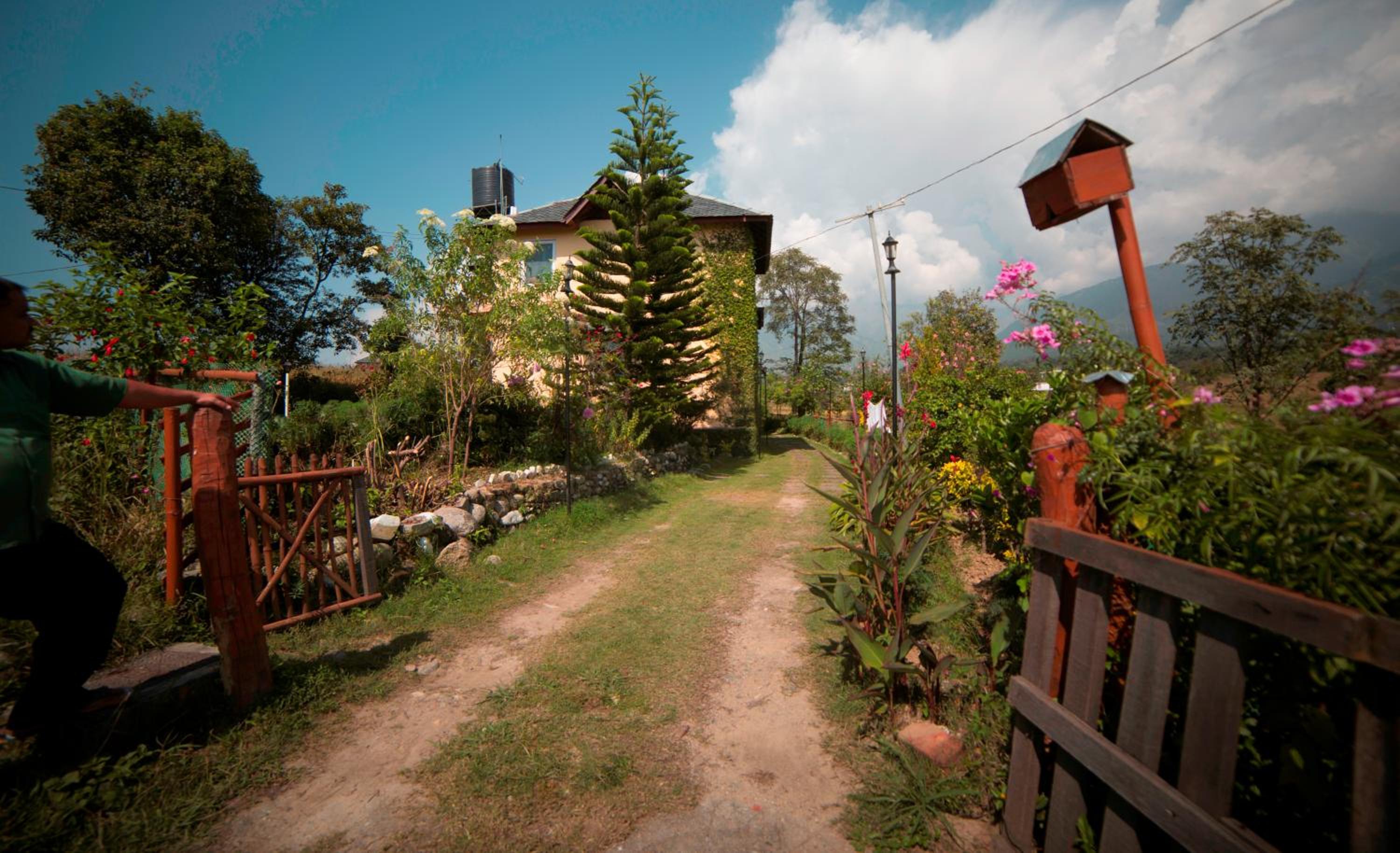 Seclude Palampur view 2