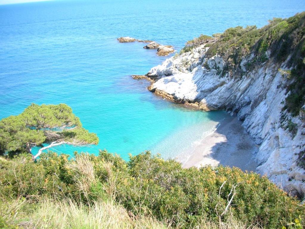 Sussurro del mare