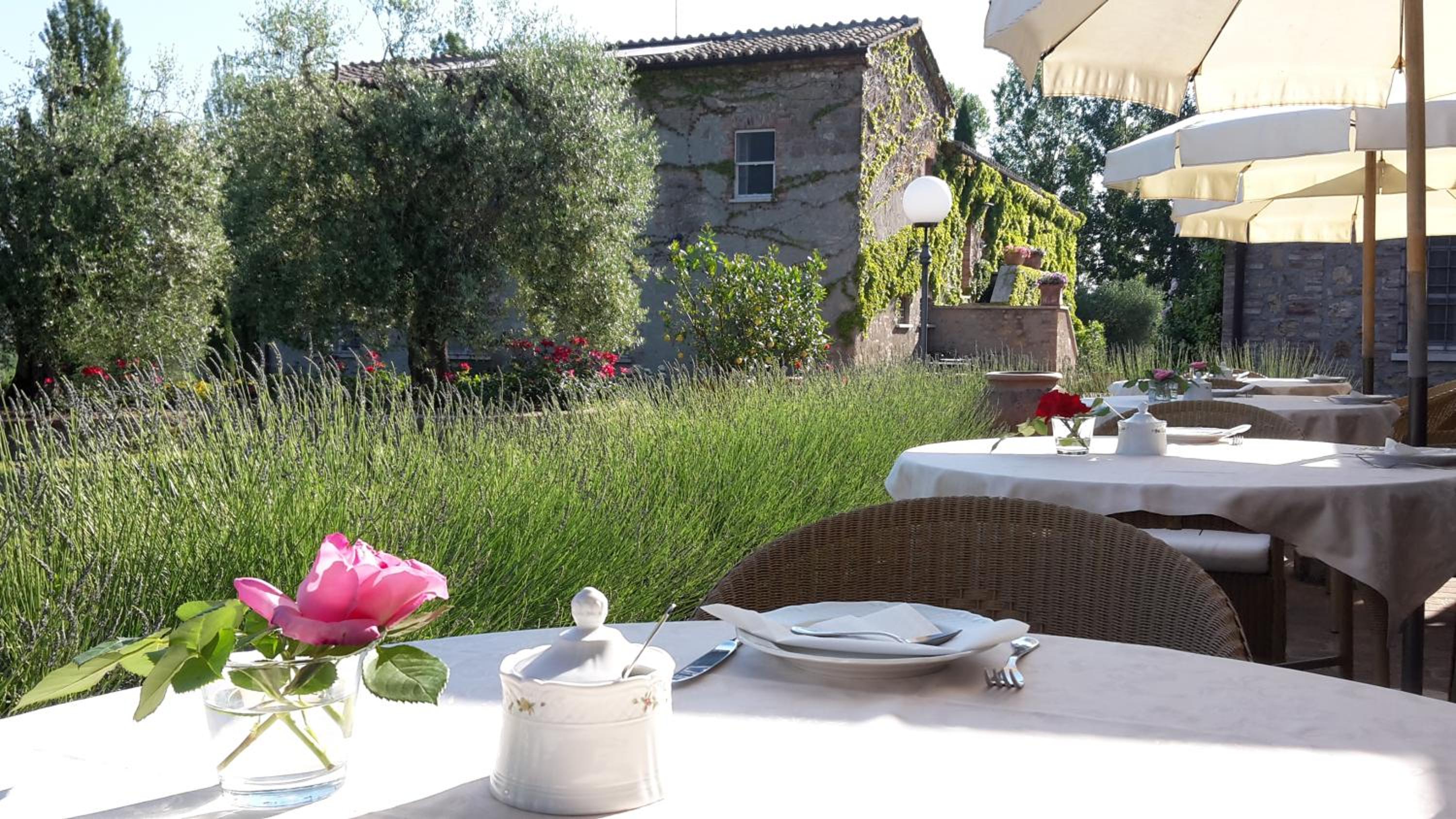 Agriturismo La Sovana photo 5