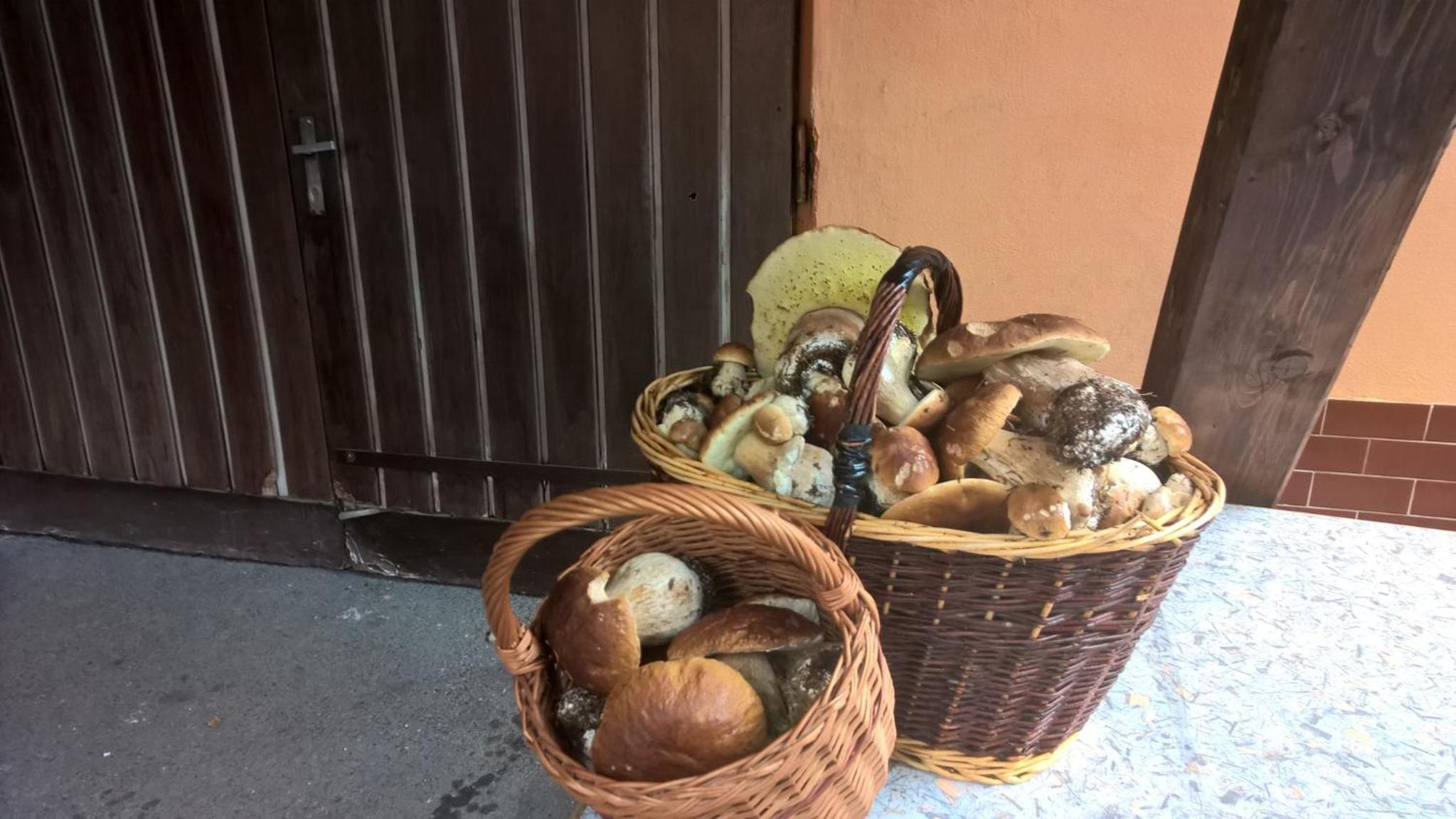 Penzion Jizerka