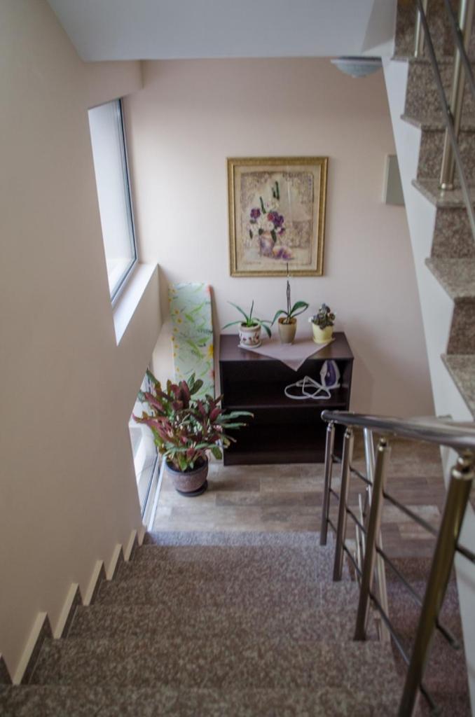 Guest House Dinevi