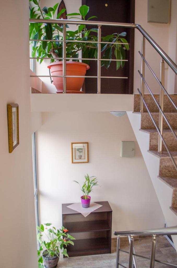 Guest House Dinevi