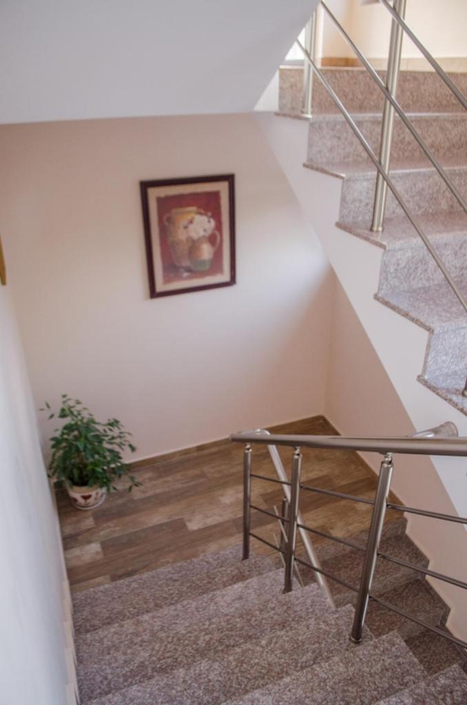 Guest House Dinevi