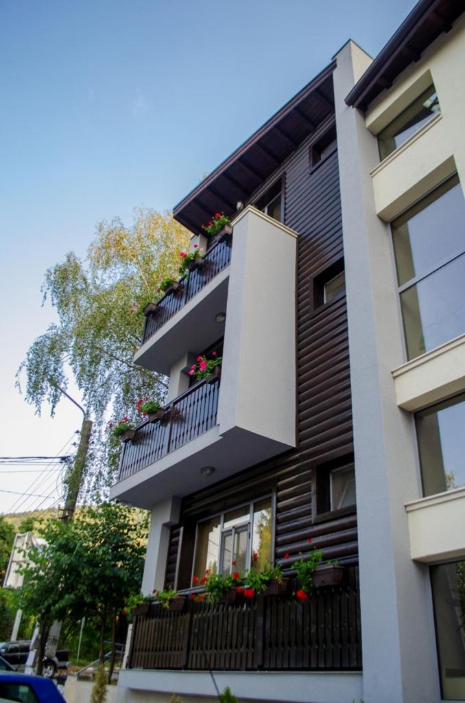 Guest House Dinevi